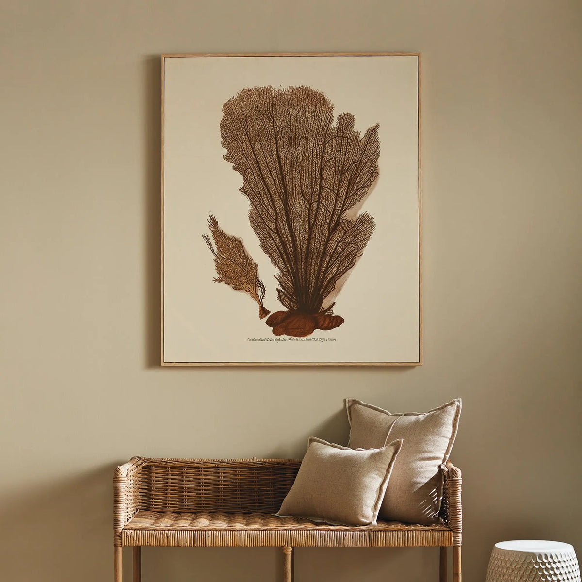 Coral Fan Giclee