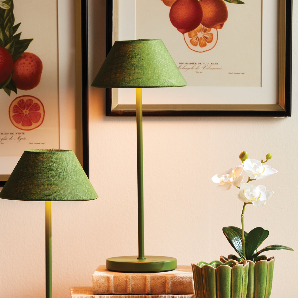 Alluna Cordless LED Lamp 14"