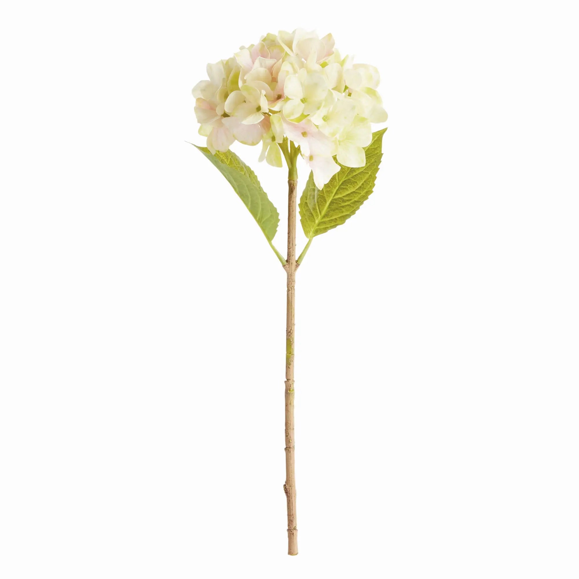 Hydrangea Stems - Set of 6 Life-Like 18" Faux Floral Stems - Villa Decor & Design