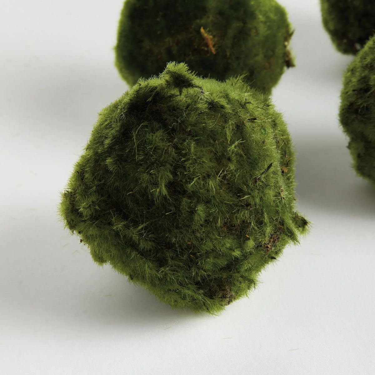 Moss Orbs 4" St/6