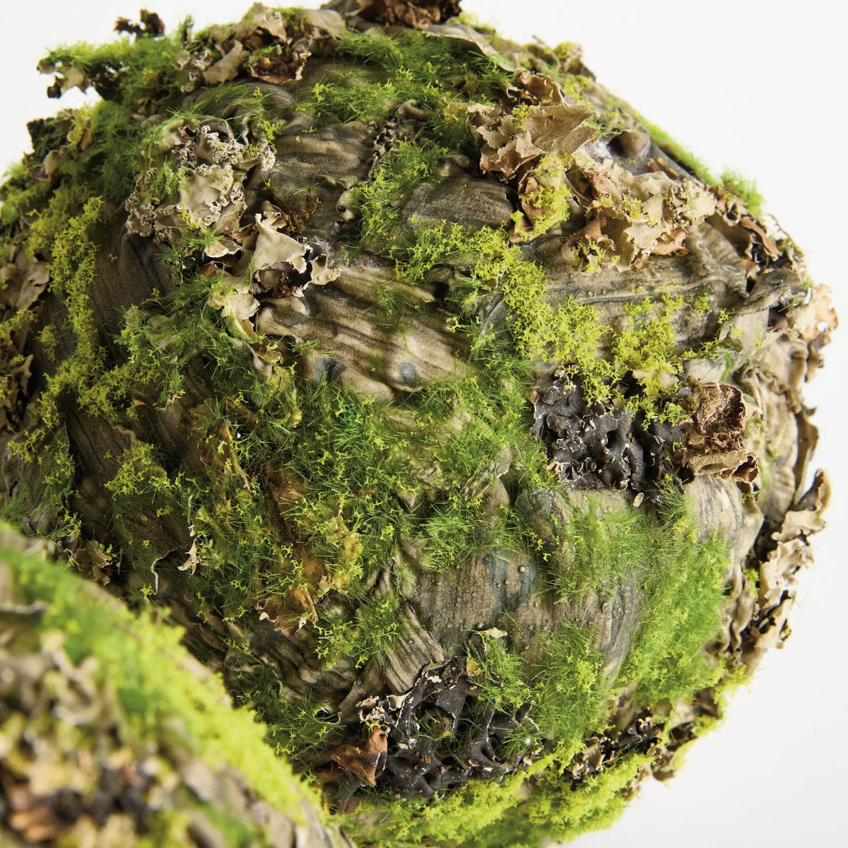 Mossy Lichen Orbs 8" Set of 2