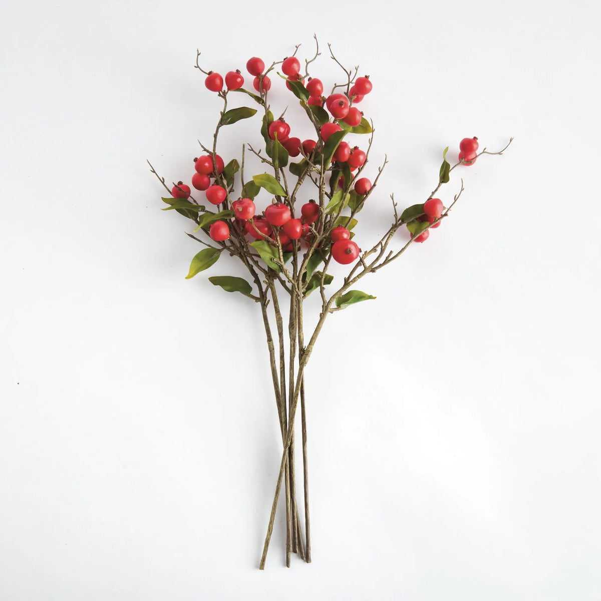 Crabapple Stems St/6 – Red