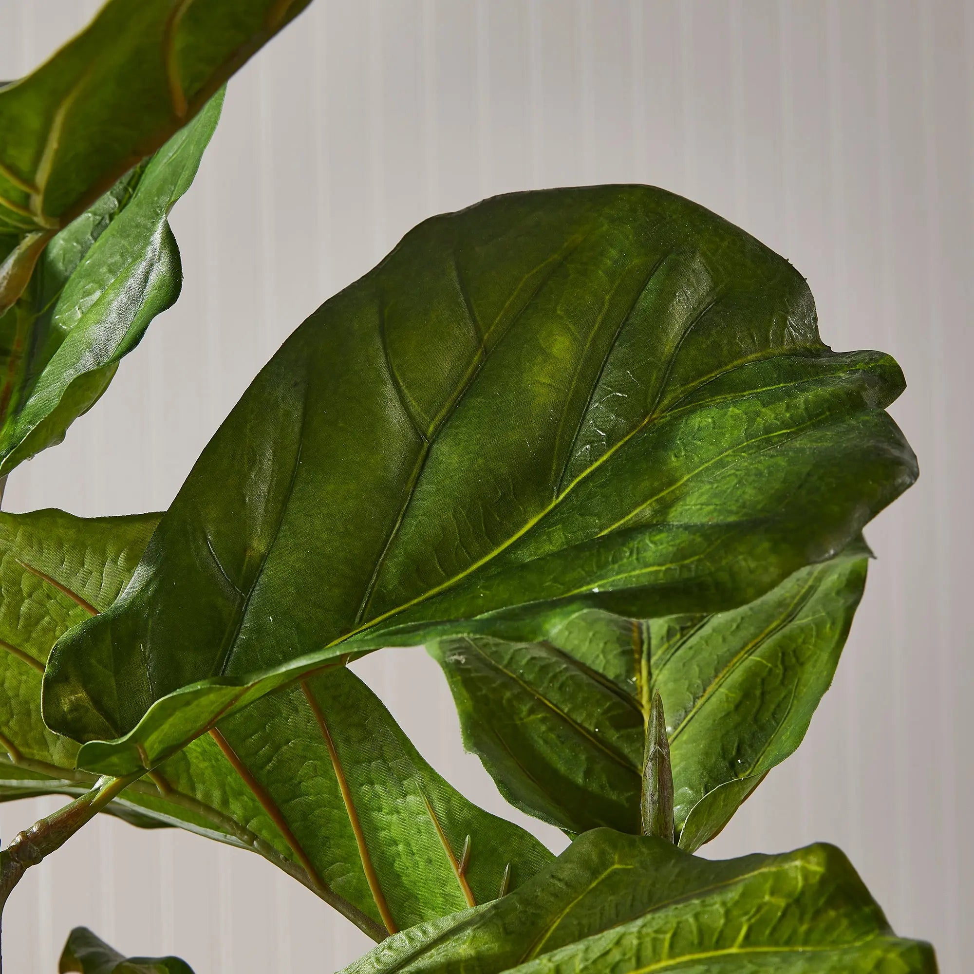 FIDDLE LEAF FIG POTTED 43" Villa Decor & Design