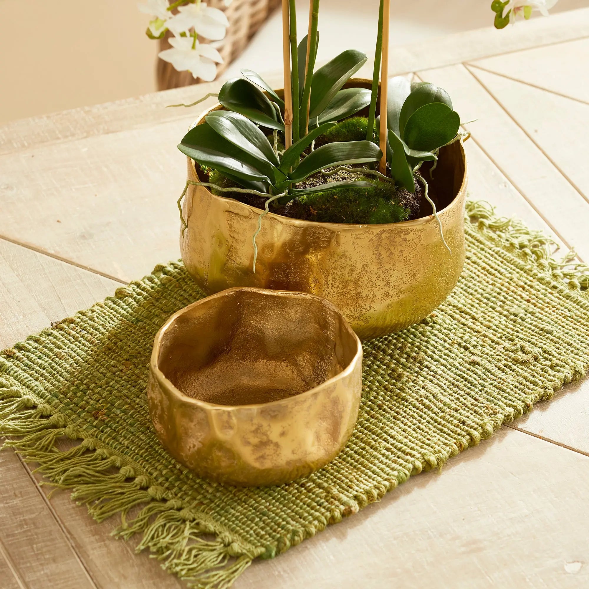 AMELIA CACHEPOTS, SET OF 2 Villa Decor & Design