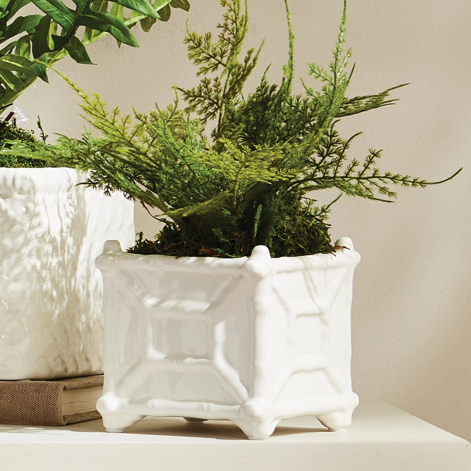 Chinoiserie Bamboo Cachepot - Classic White Ceramic Planter (Small or Large) - Villa Decor & Design