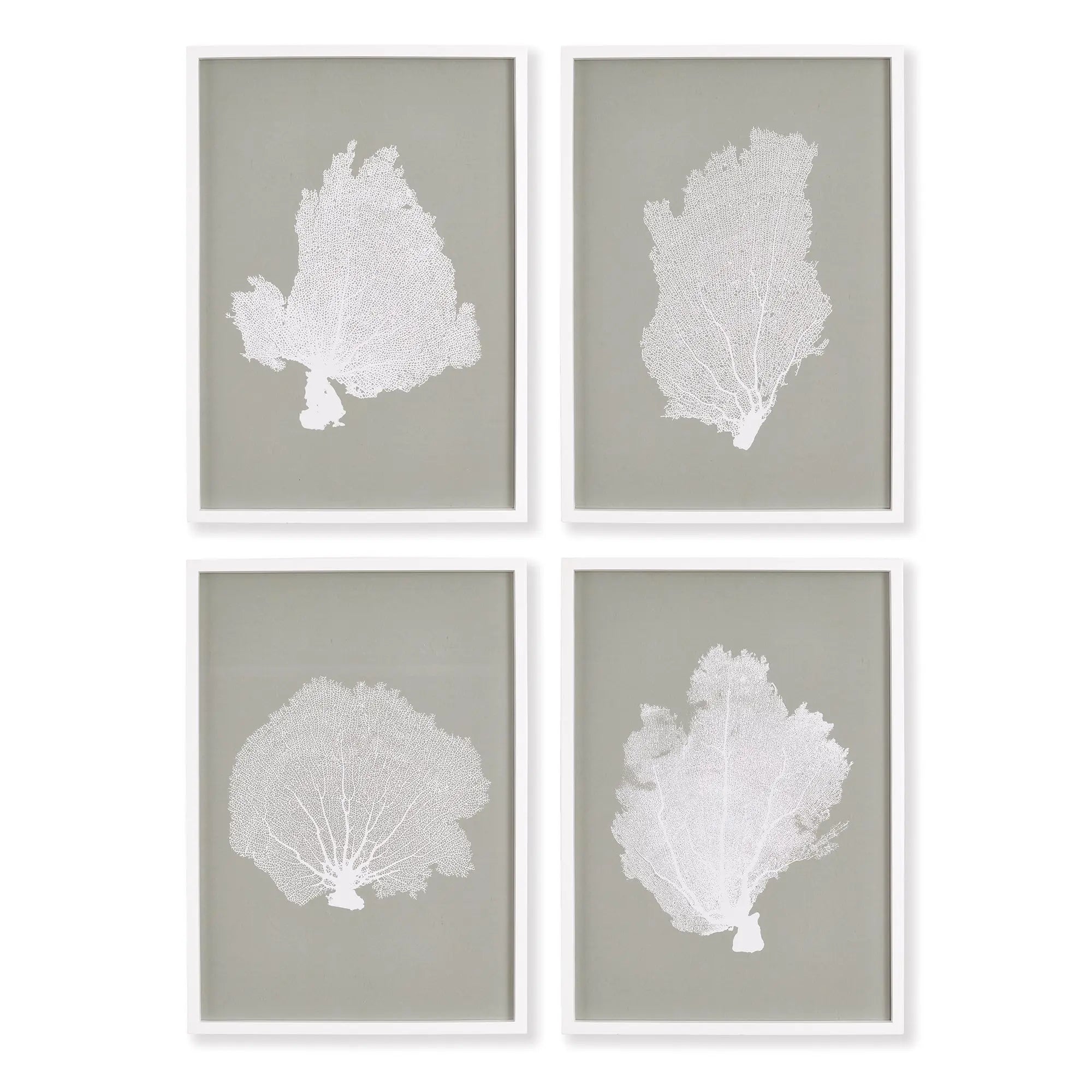 Set of 4 framed coral fan prints in white frames with gray taupe backgrounds