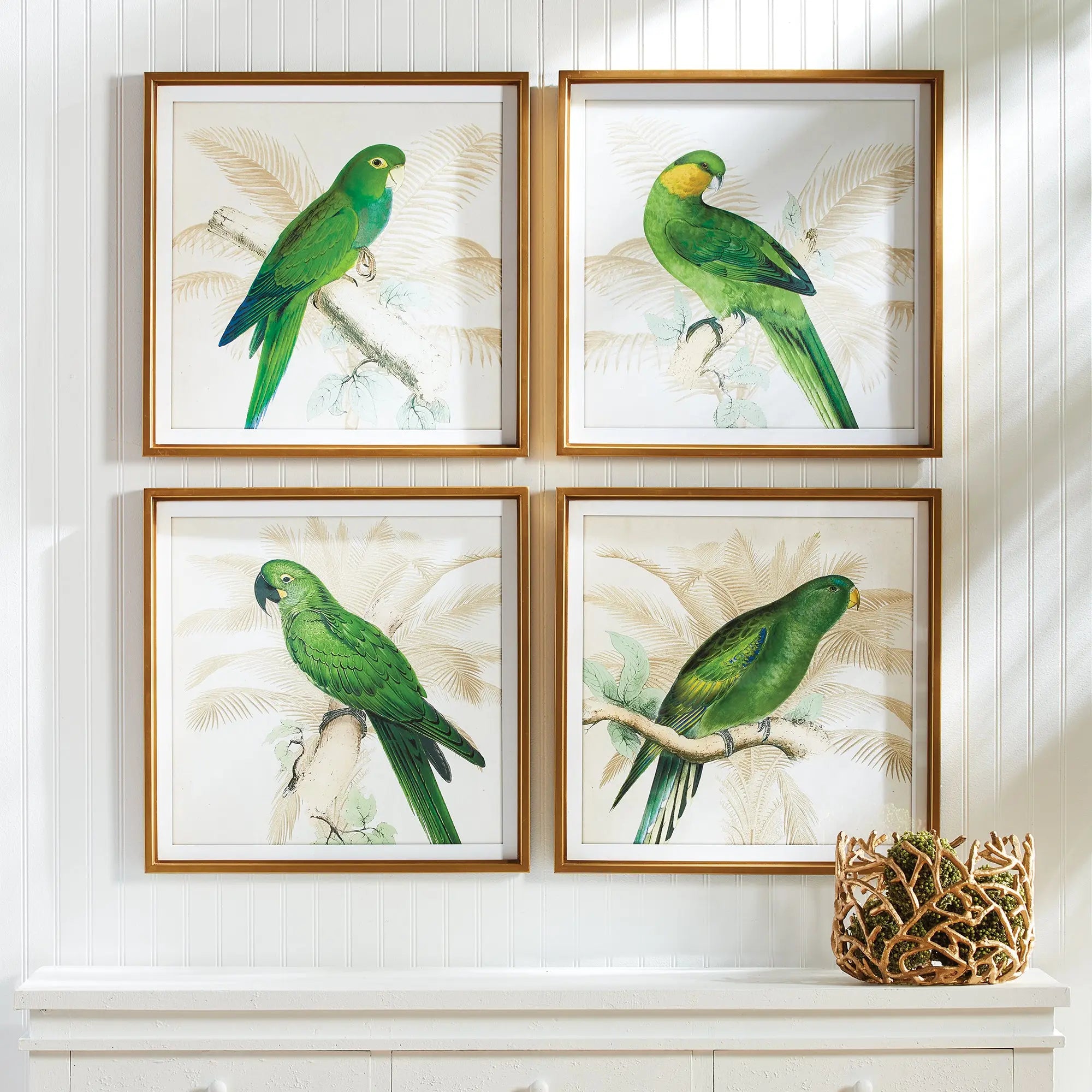 GREEN PARROTS STUDY, SET OF 4 Villa Decor & Design