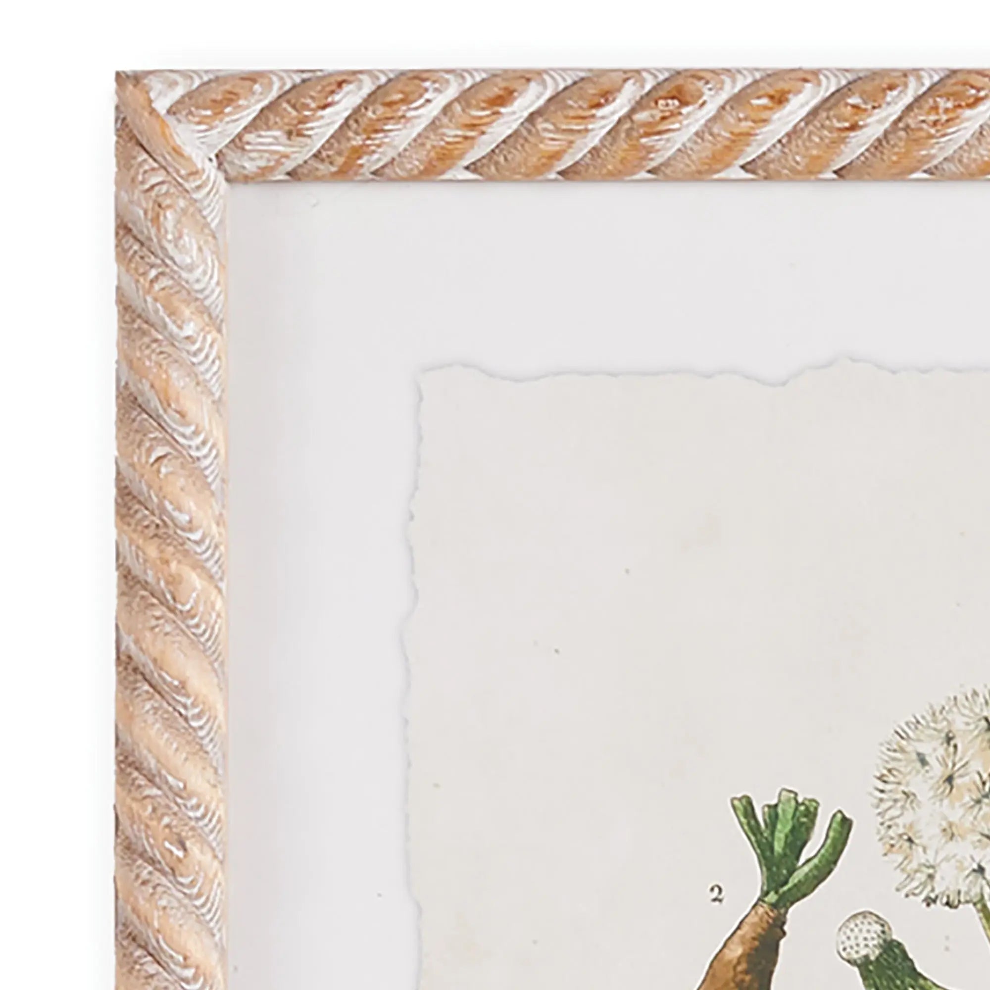 VINTAGE BOTANICAL STUDY, SET OF 4 Villa Decor & Design