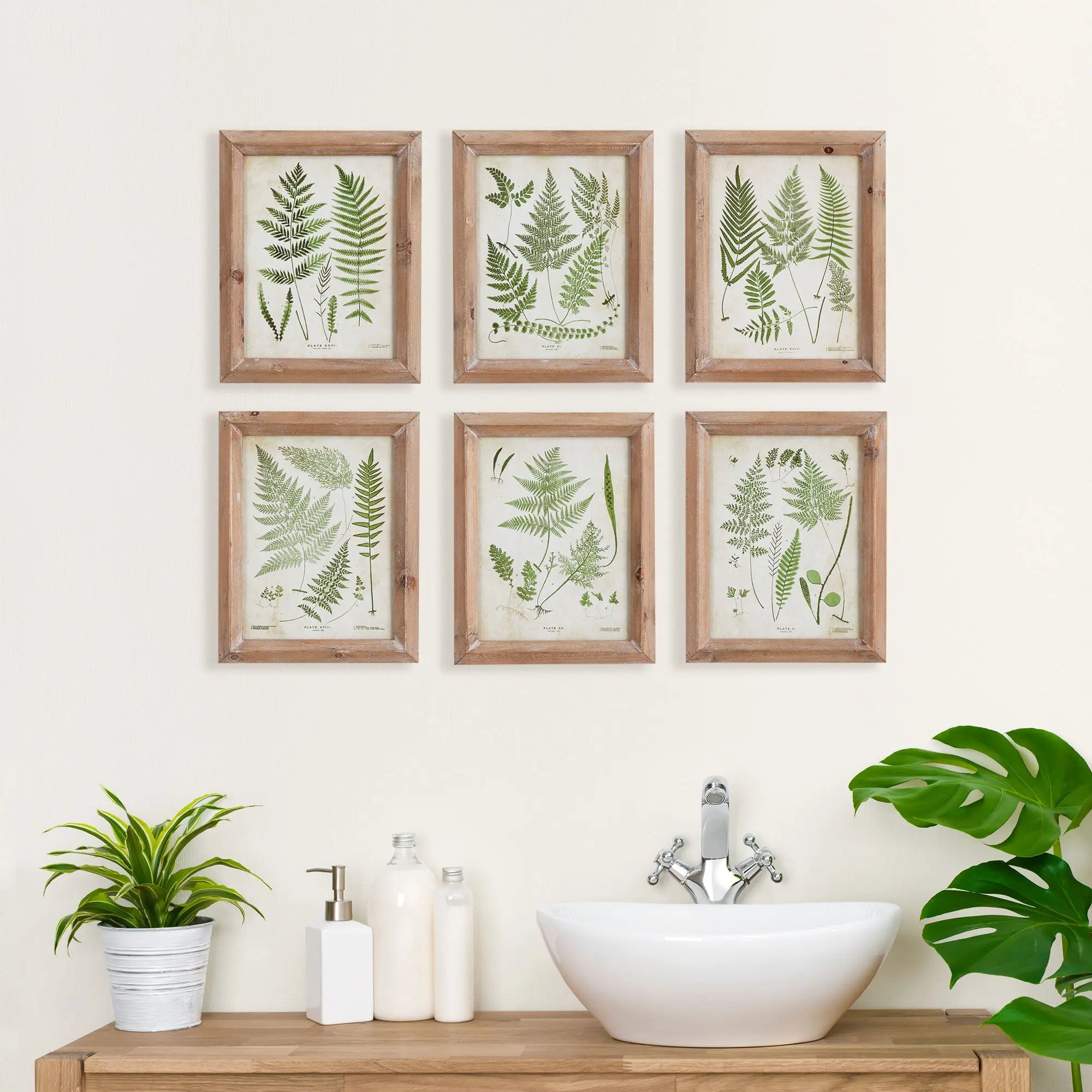 ASSORTED FROND STUDY PETITE, SET OF 6 Villa Decor & Design