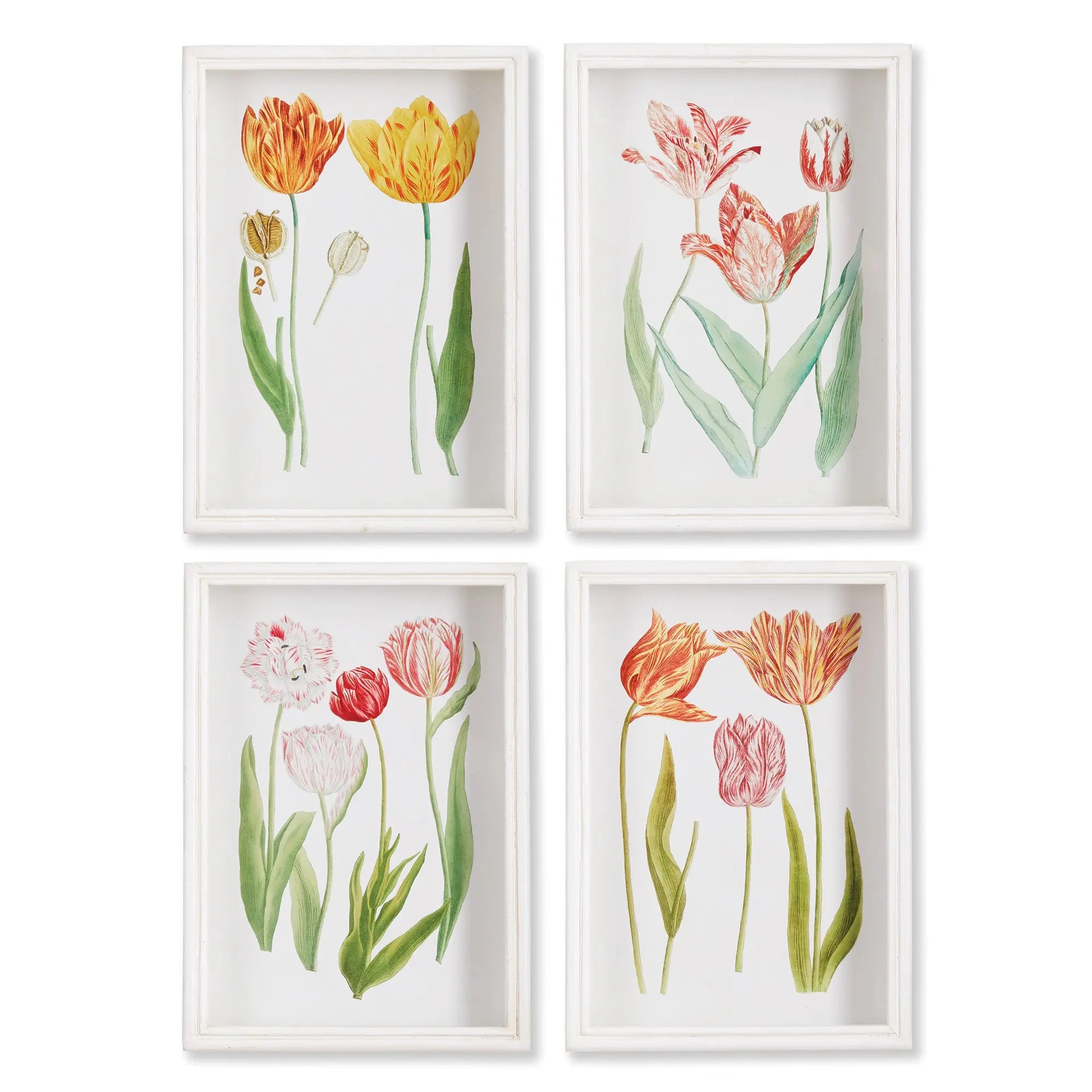 TULIP PRINTS, SET OF 4 Villa Decor & Design