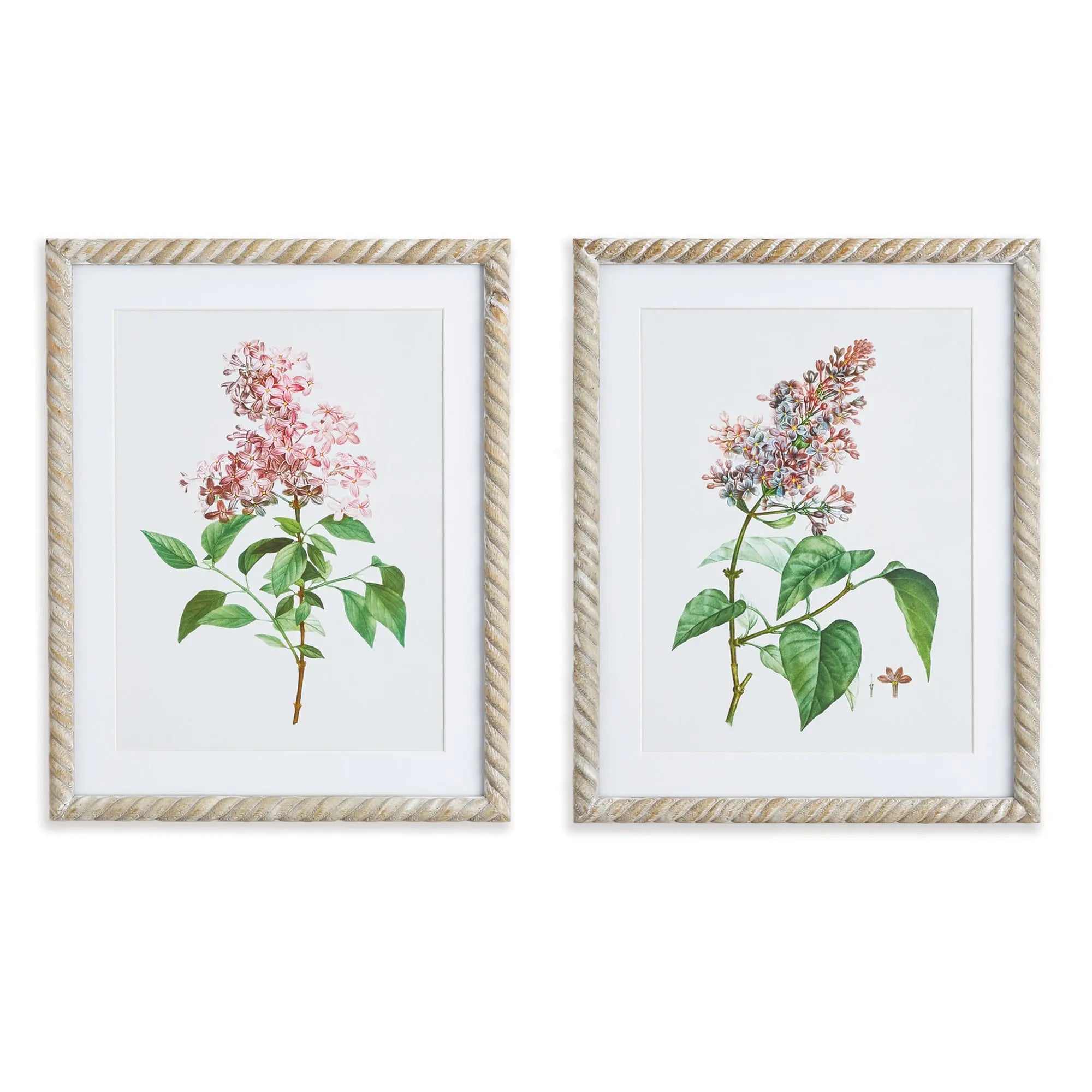 LILAC CUTTING PRINTS, SET OF 2 Villa Decor & Design