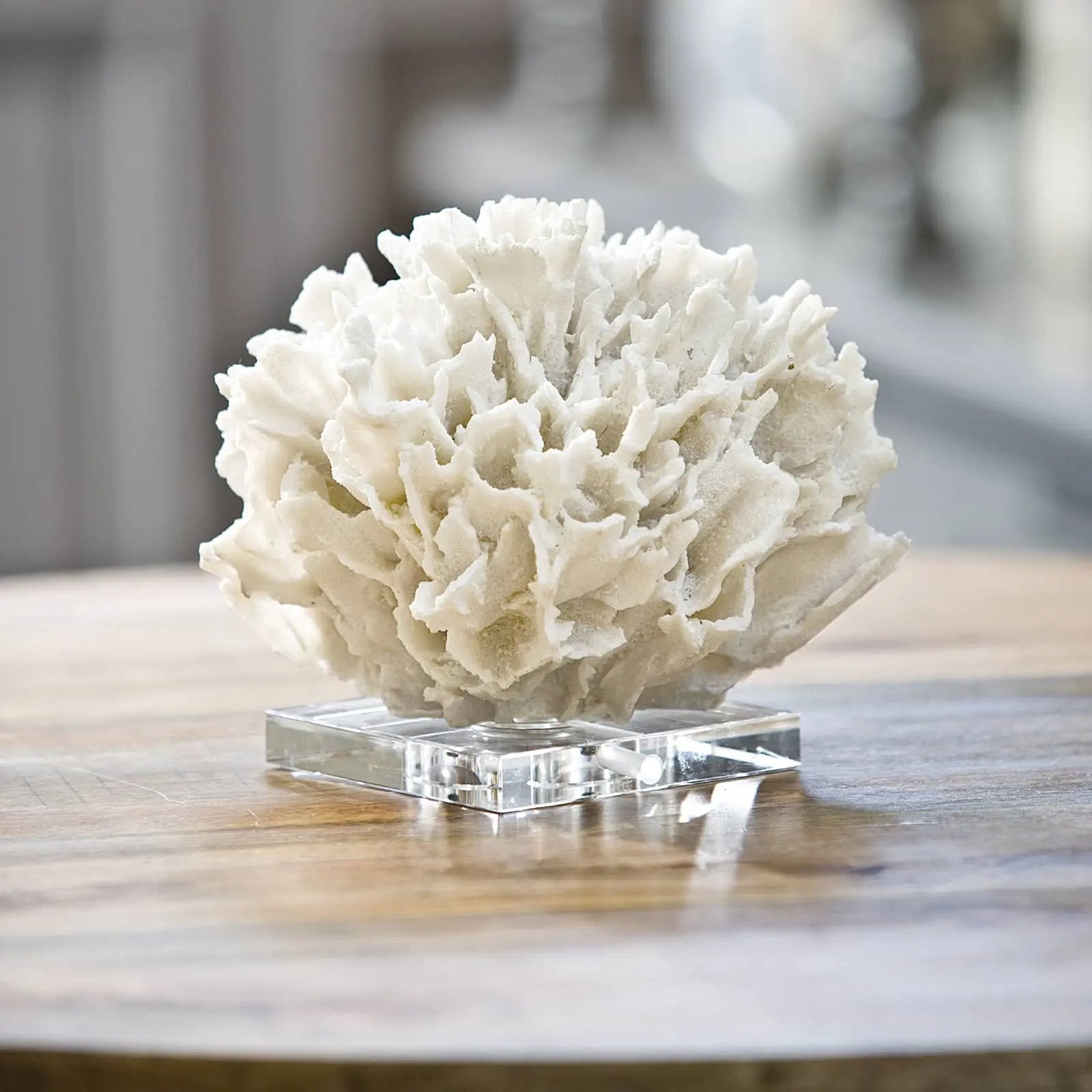 Ribbon Coral – White Resin on Crystal Base Regina Andrew