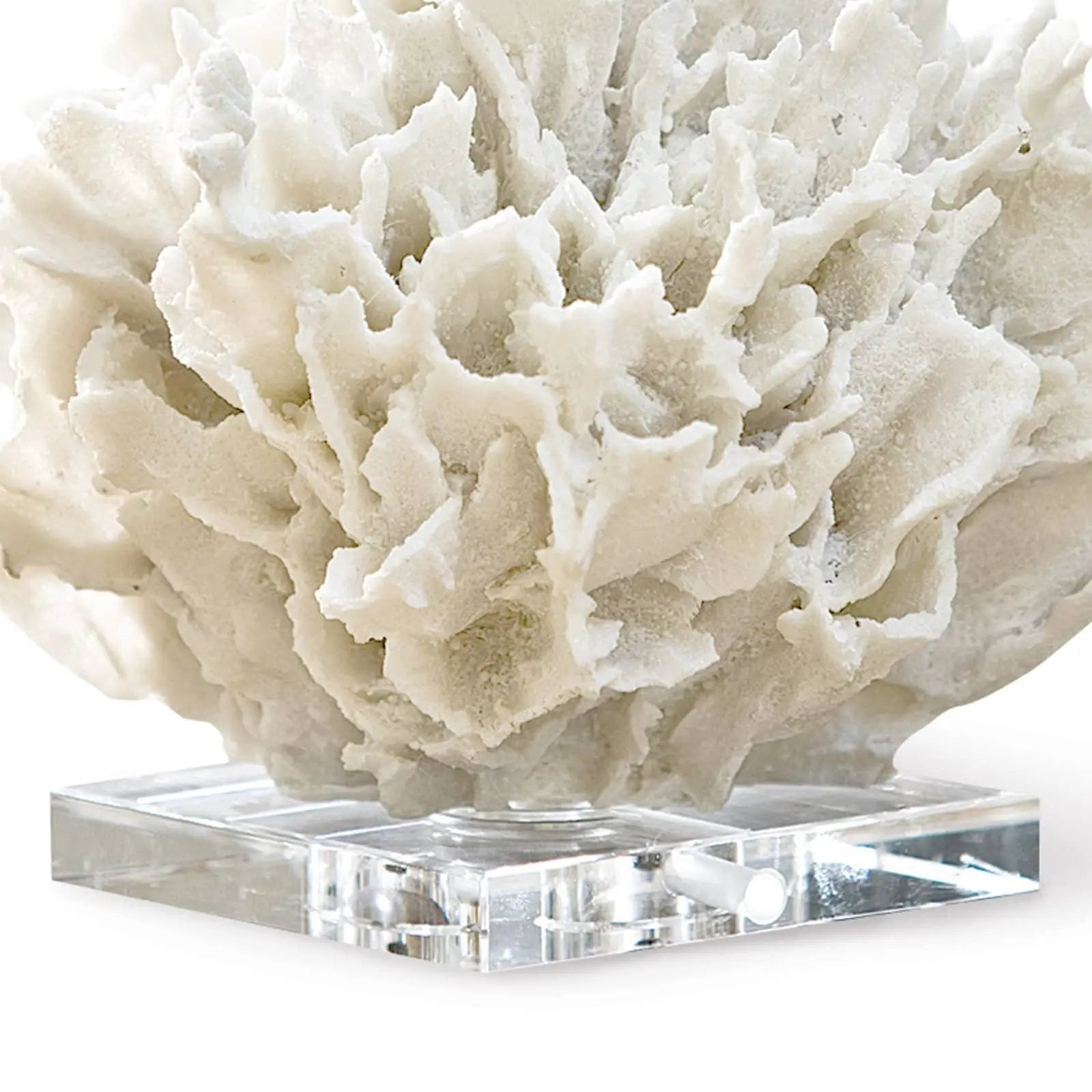 Ribbon Coral – White Resin on Crystal Base Regina Andrew