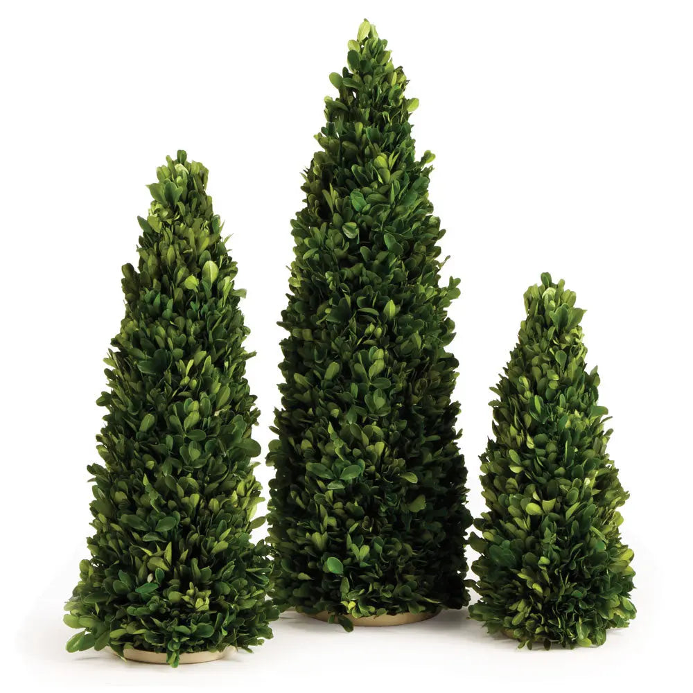 BOXWOOD MINI TREES, SET OF 3 Villa Decor & Design