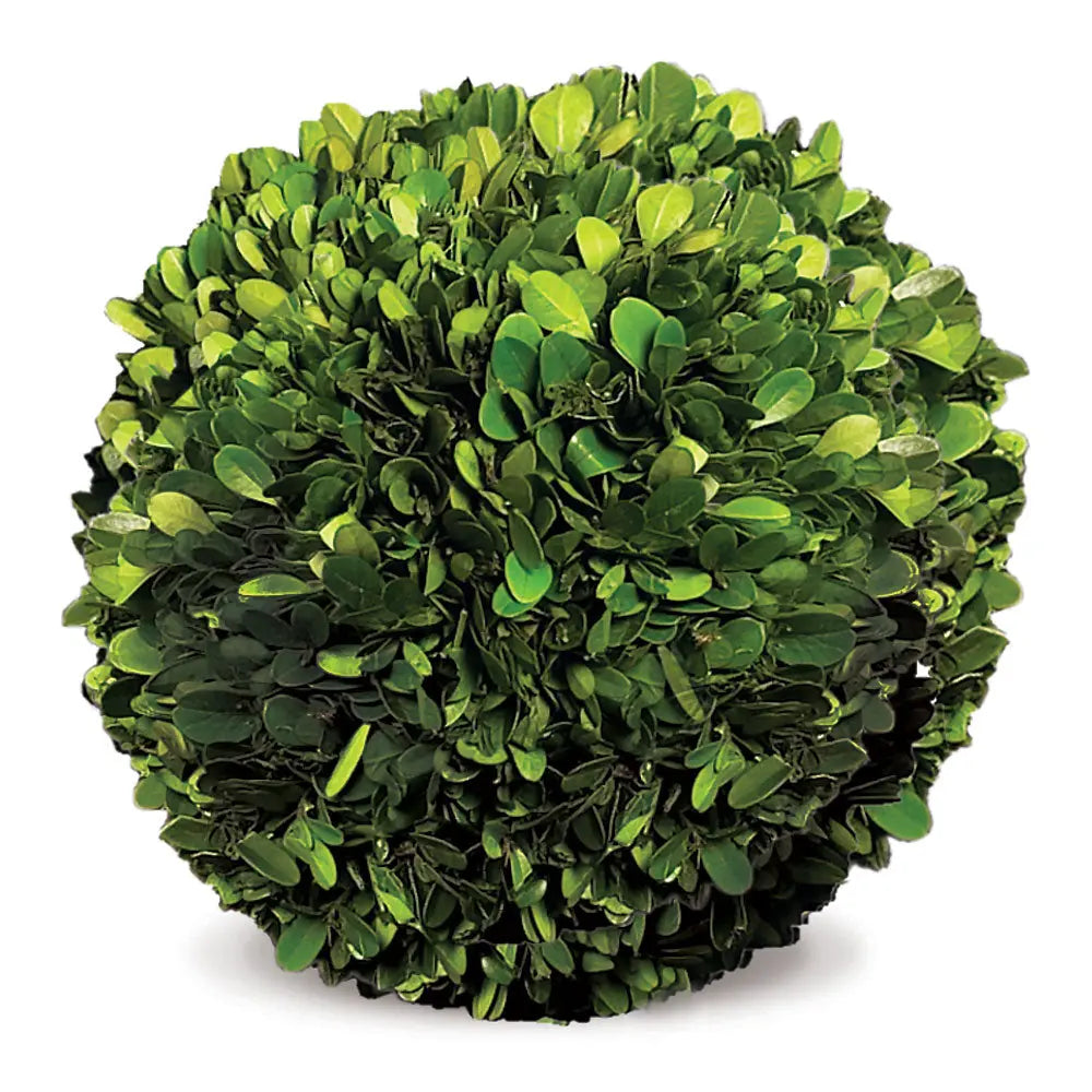 8-inch preserved boxwood ball – natural greenery sphere