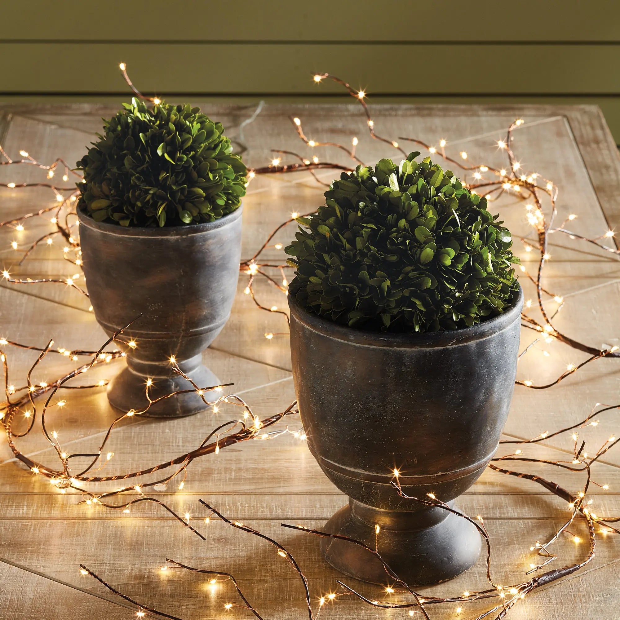 8-inch preserved boxwood ball – natural greenery sphere