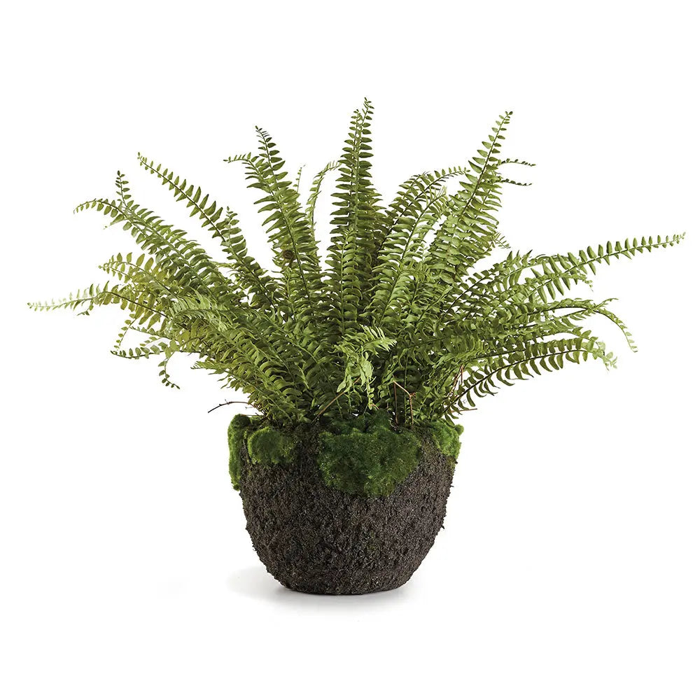 GRAND BOSTON FERN DROP-IN 30" Villa Decor & Design