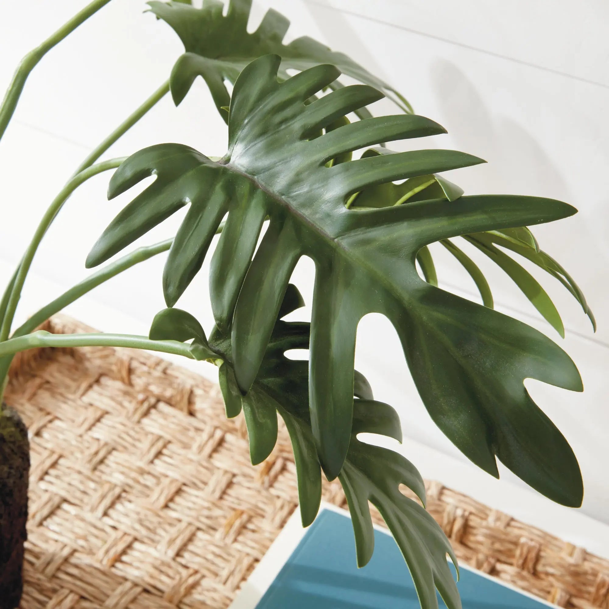 SPLIT LEAF SELLOUM DROP-IN 22.5" Villa Decor & Design