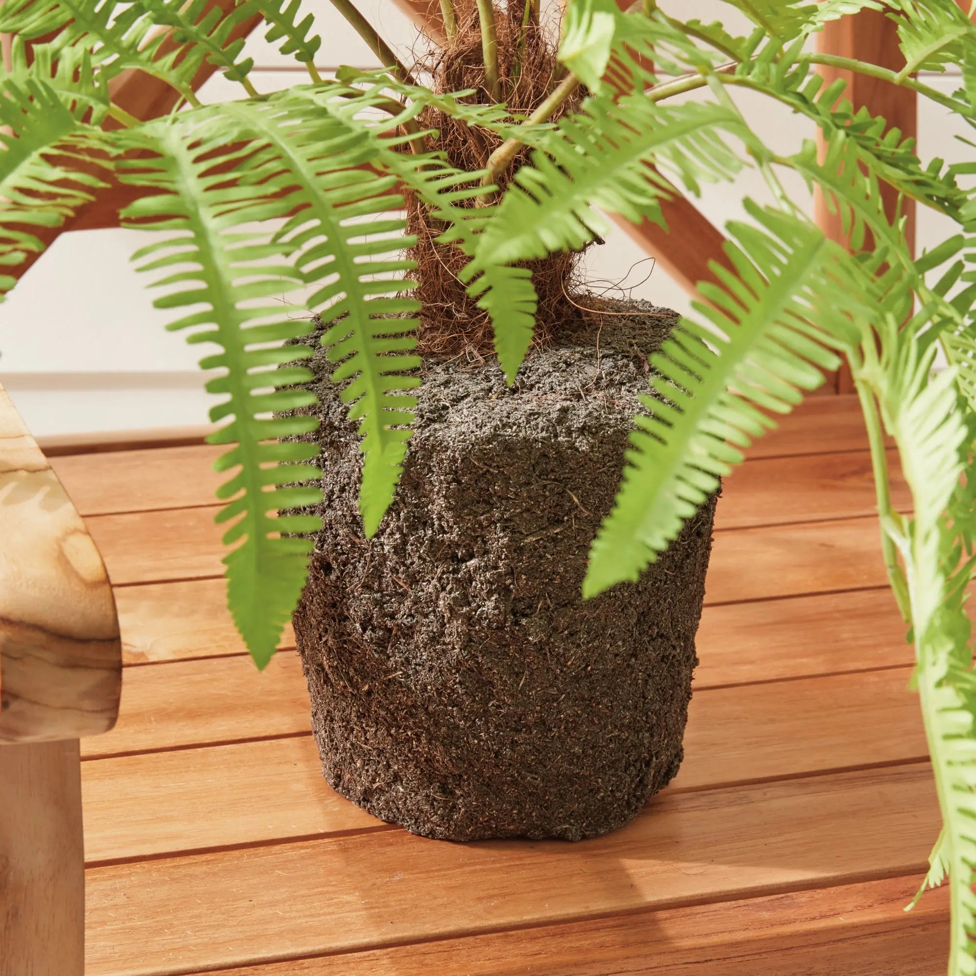 FOREST FERN DROP-IN 29.5" Villa Decor & Design