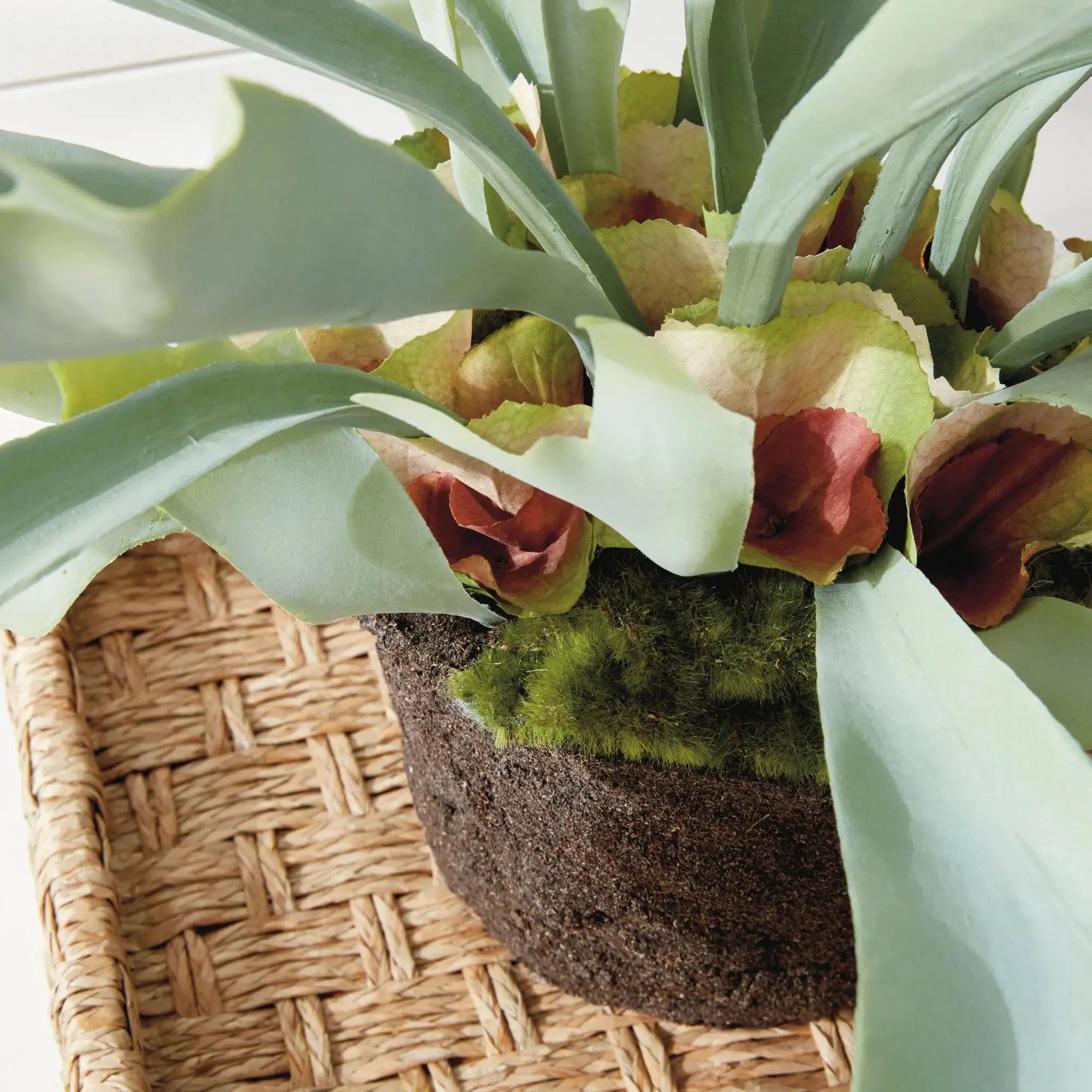 STAGHORN FERN DROP-IN 21" Villa Decor & Design
