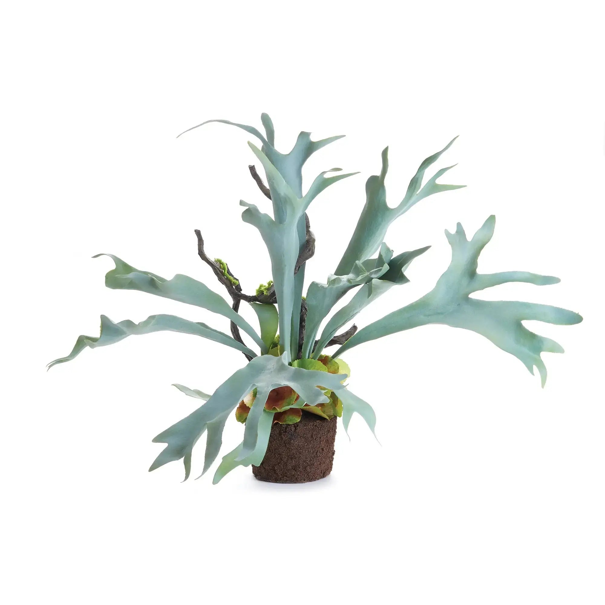 STAGHORN FERN DROP-IN 22" Villa Decor & Design