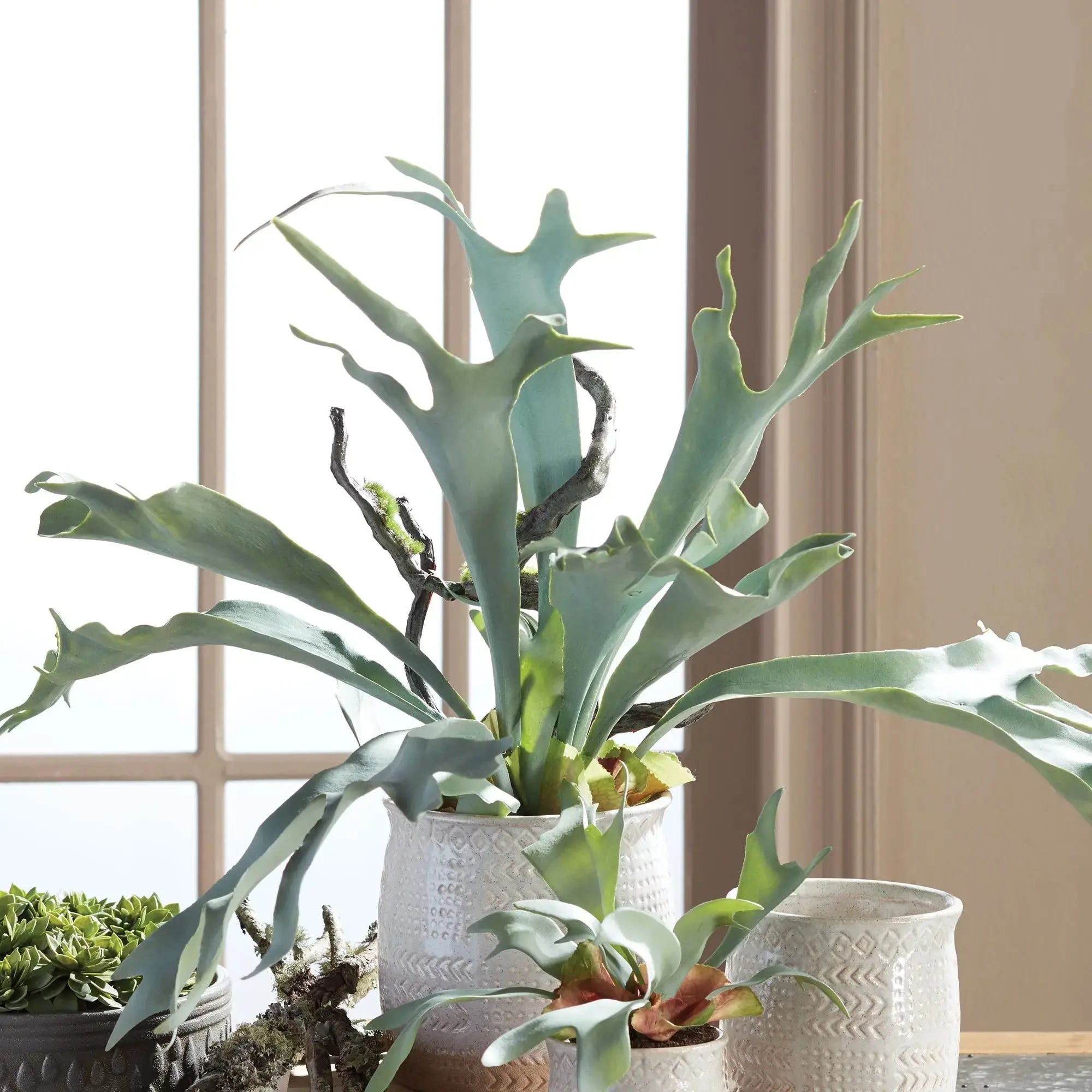 STAGHORN FERN DROP-IN 22" Villa Decor & Design