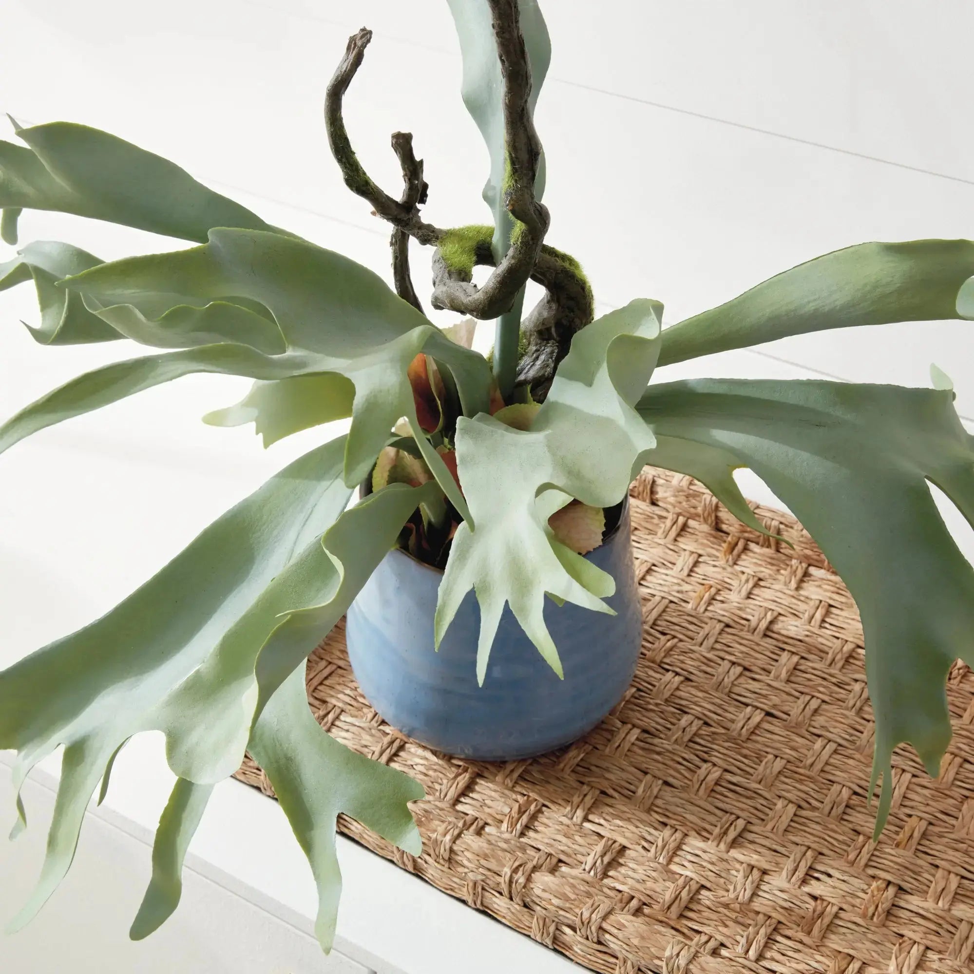 STAGHORN FERN DROP-IN 22" Villa Decor & Design