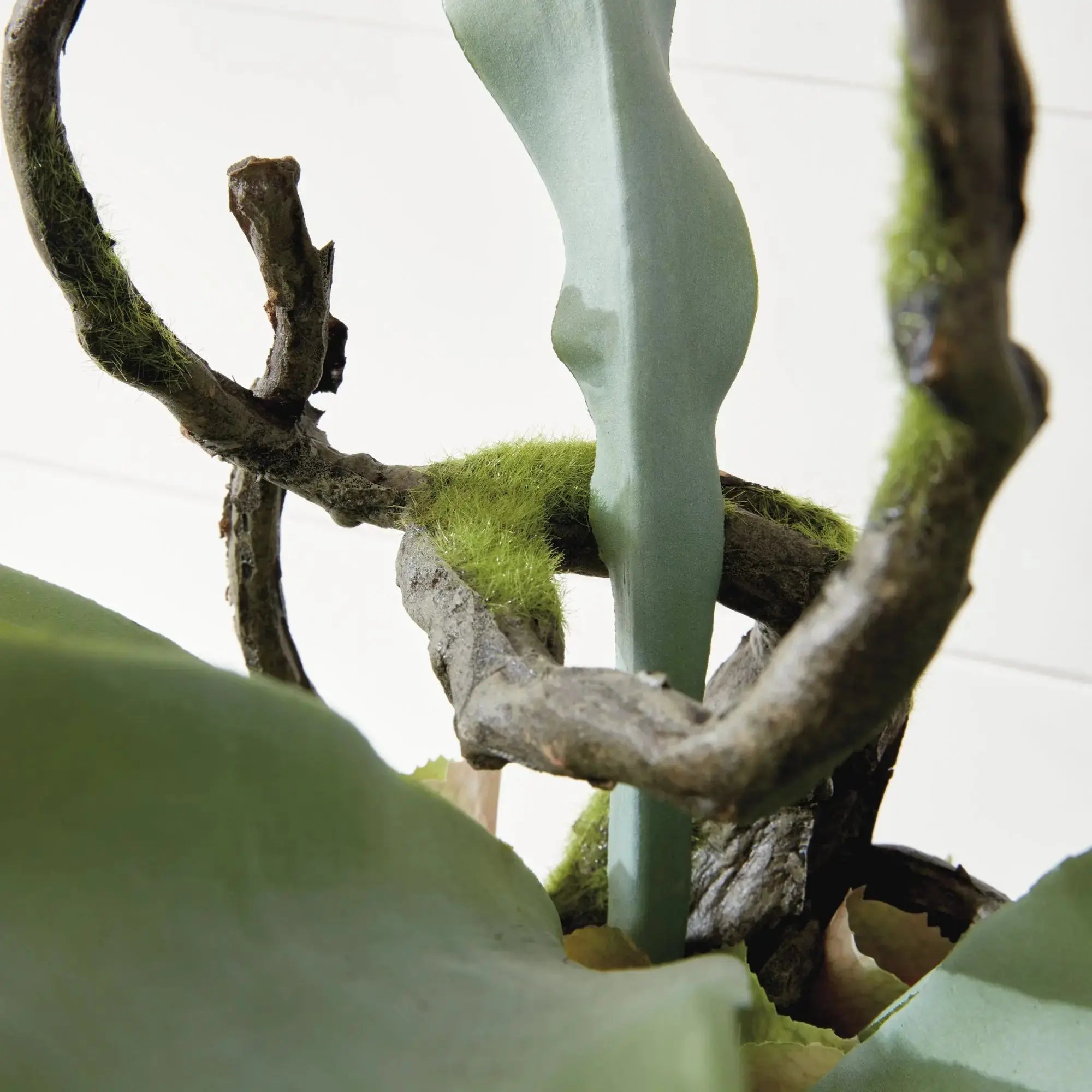 STAGHORN FERN DROP-IN 22" Villa Decor & Design