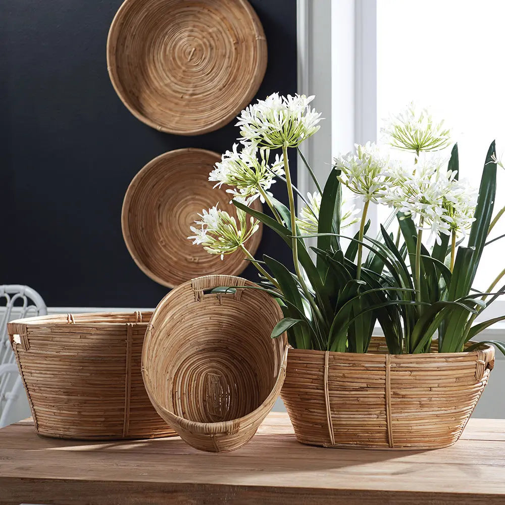 Rectangular Cane Rattan Basket Set