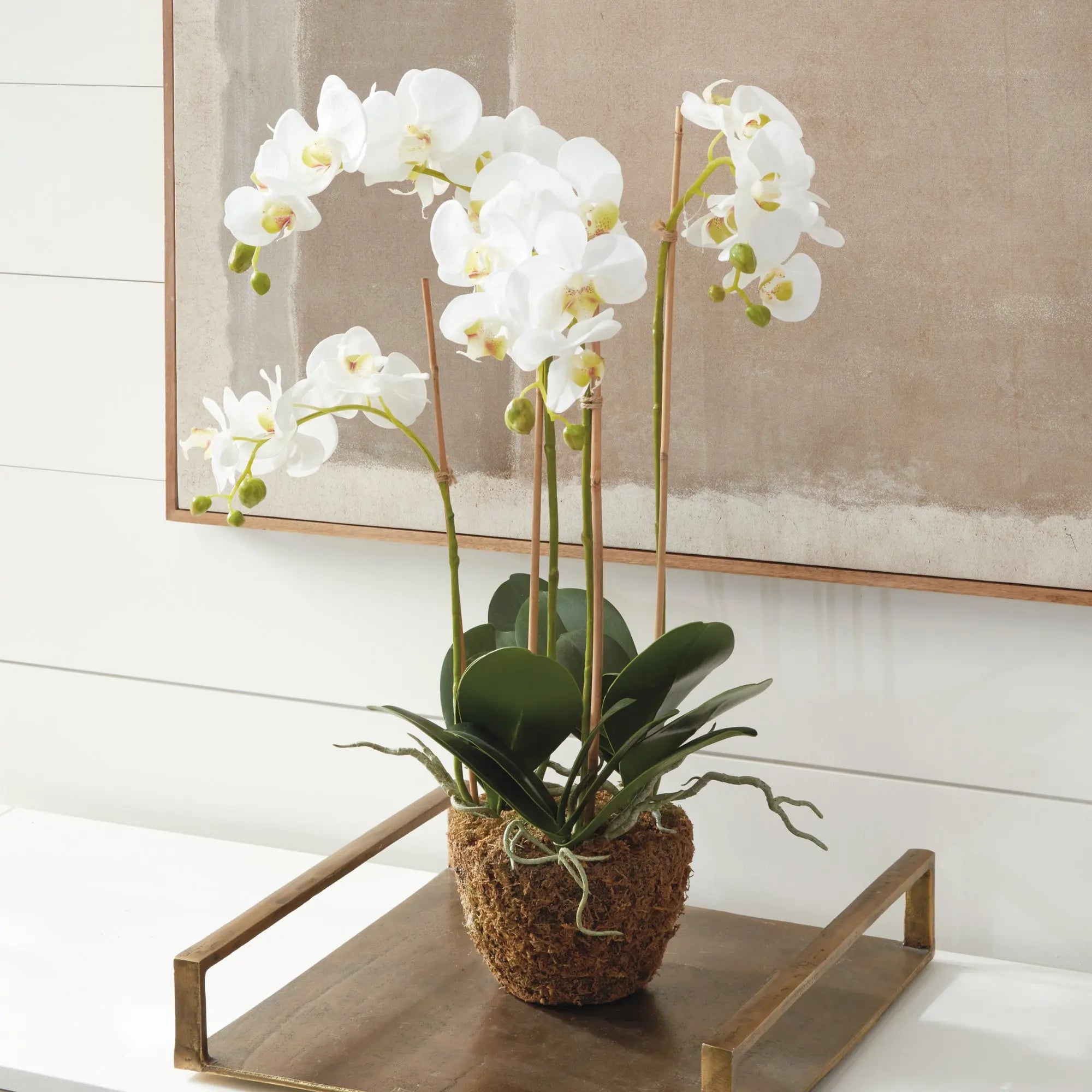 PHALAENOPSIS ORCHID DROP-IN 30" Villa Decor & Design