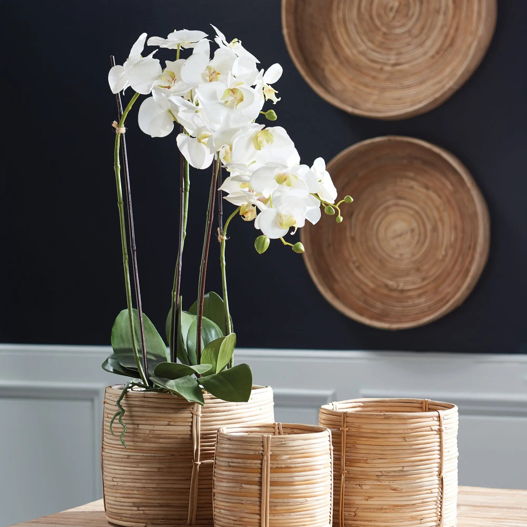 PHALAENOPSIS ORCHID DROP-IN 30" Villa Decor & Design