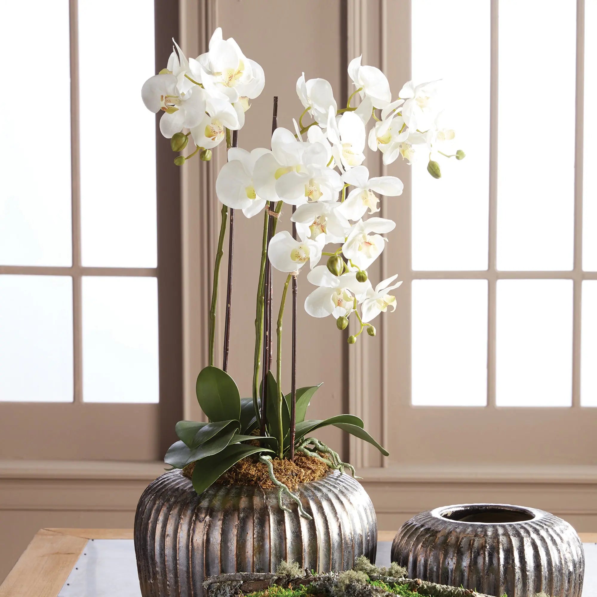 PHALAENOPSIS ORCHID DROP-IN 30" Villa Decor & Design