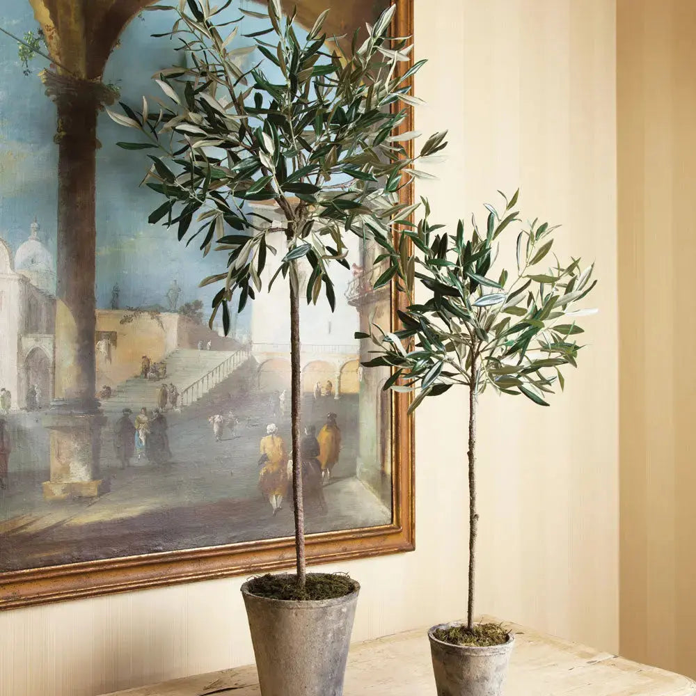 OLIVE TREE POTTED 46" Villa Decor & Design