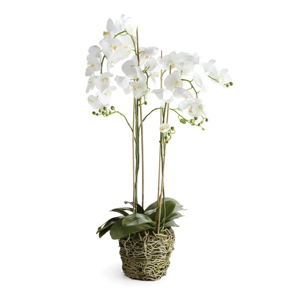 PHALAENOPSIS ORCHID DROP-IN 44" Villa Decor & Design
