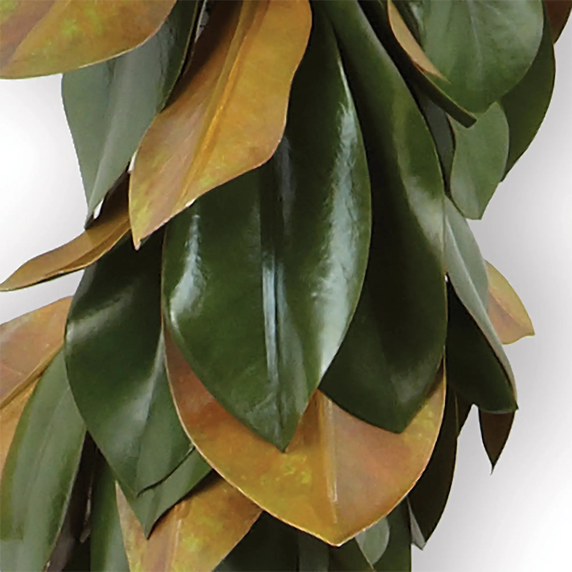 GRAND MAGNOLIA LEAF GARLAND 72" Villa Decor & Design