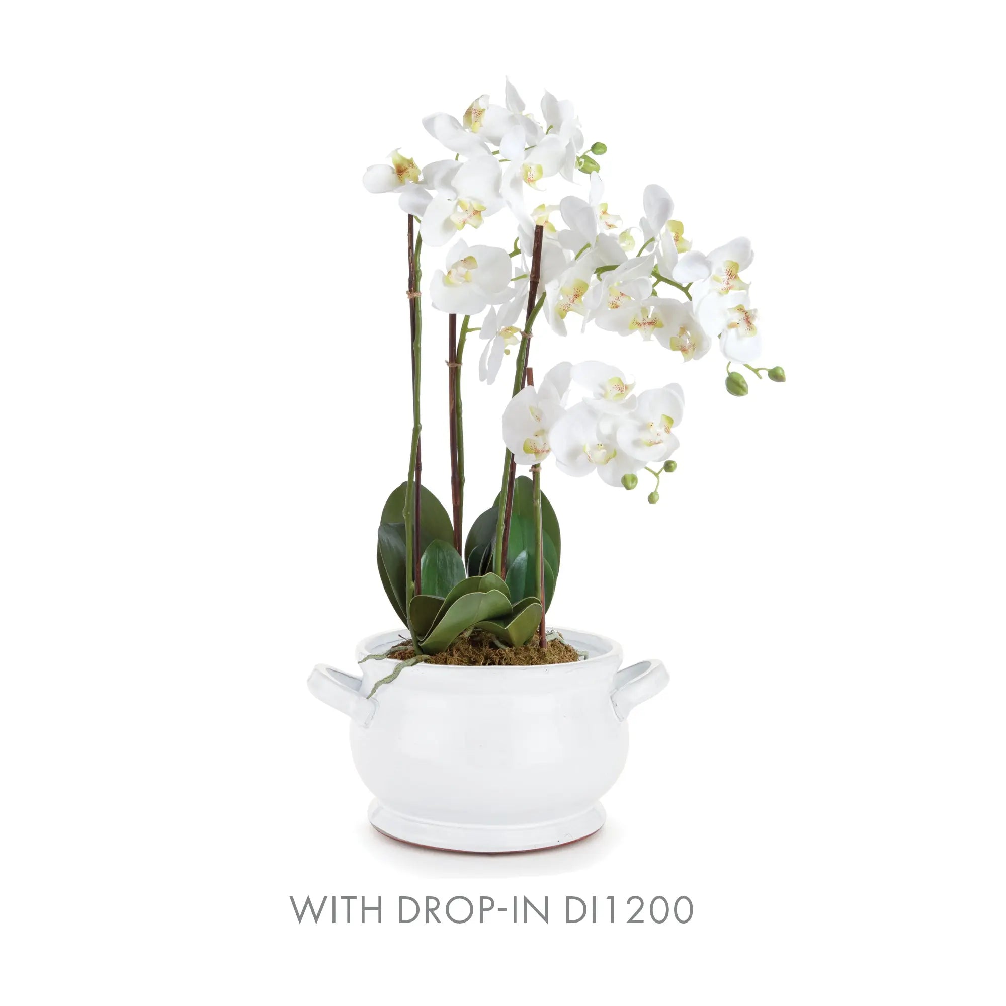 BRADFORD DECORATIVE FOOTED BOWL Villa Decor & Design