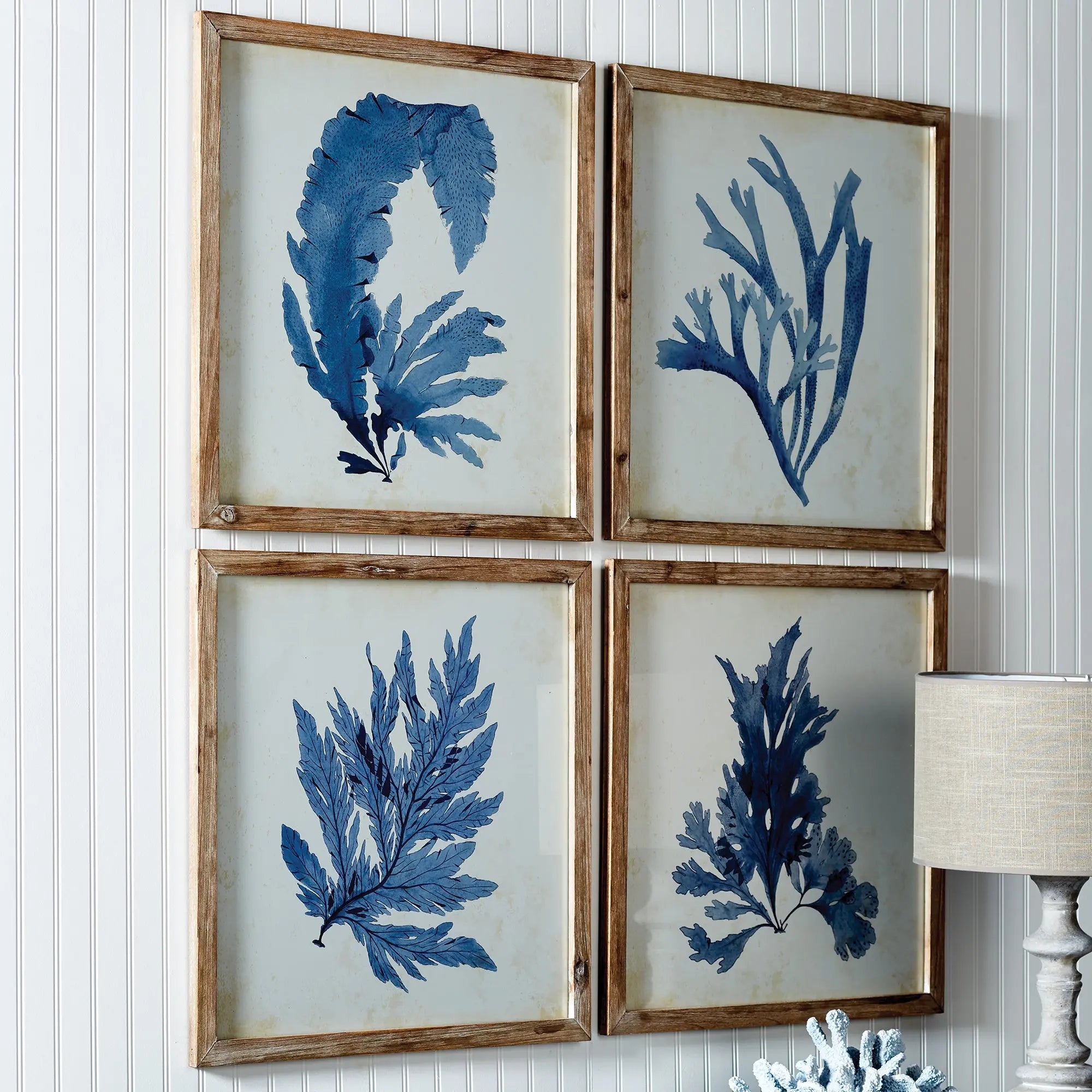 Set of four framed coral watercolor prints in whitewashed wood frames, coastal wall art