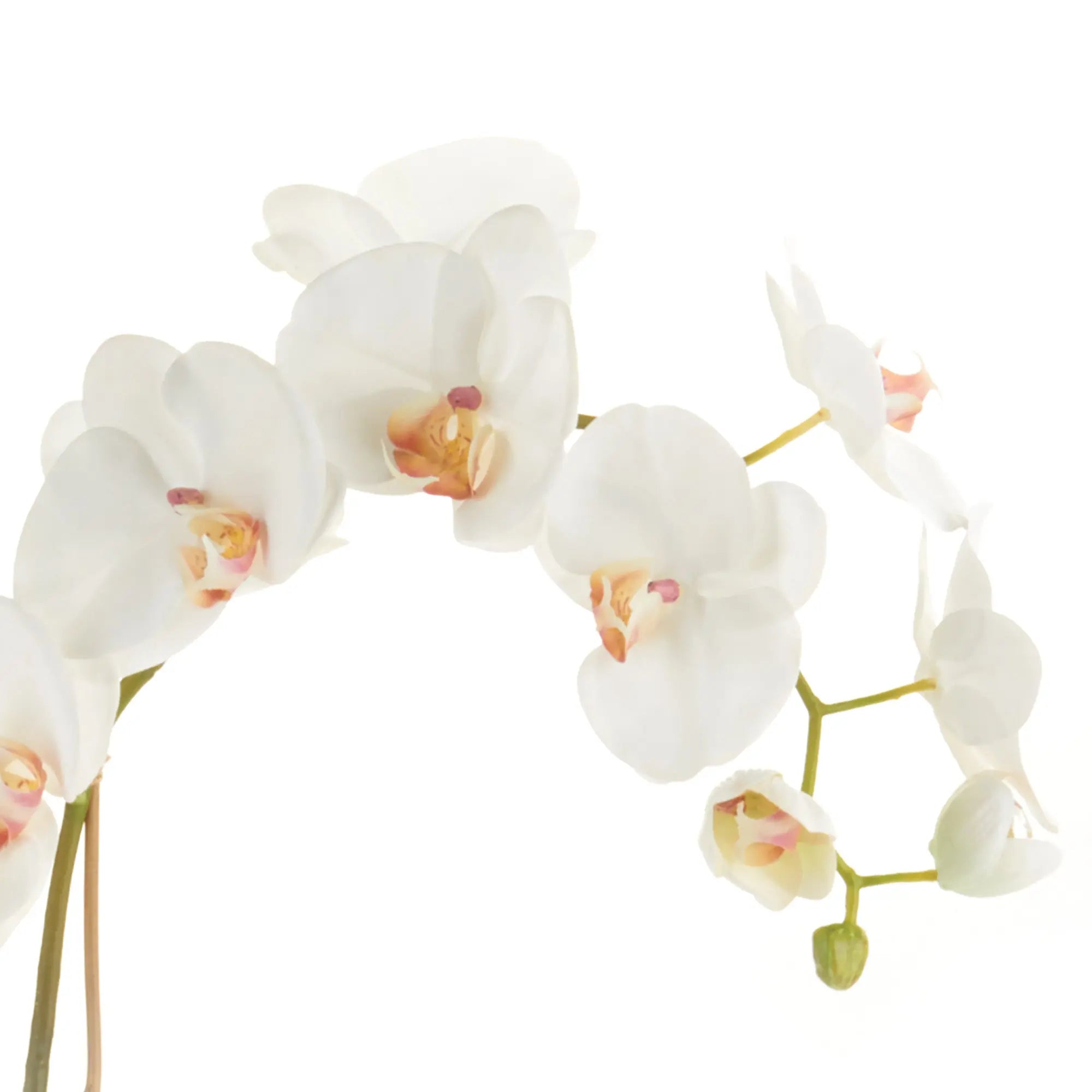 Realistic 26-inch white Phalaenopsis orchid drop-in with root ball for indoor décor