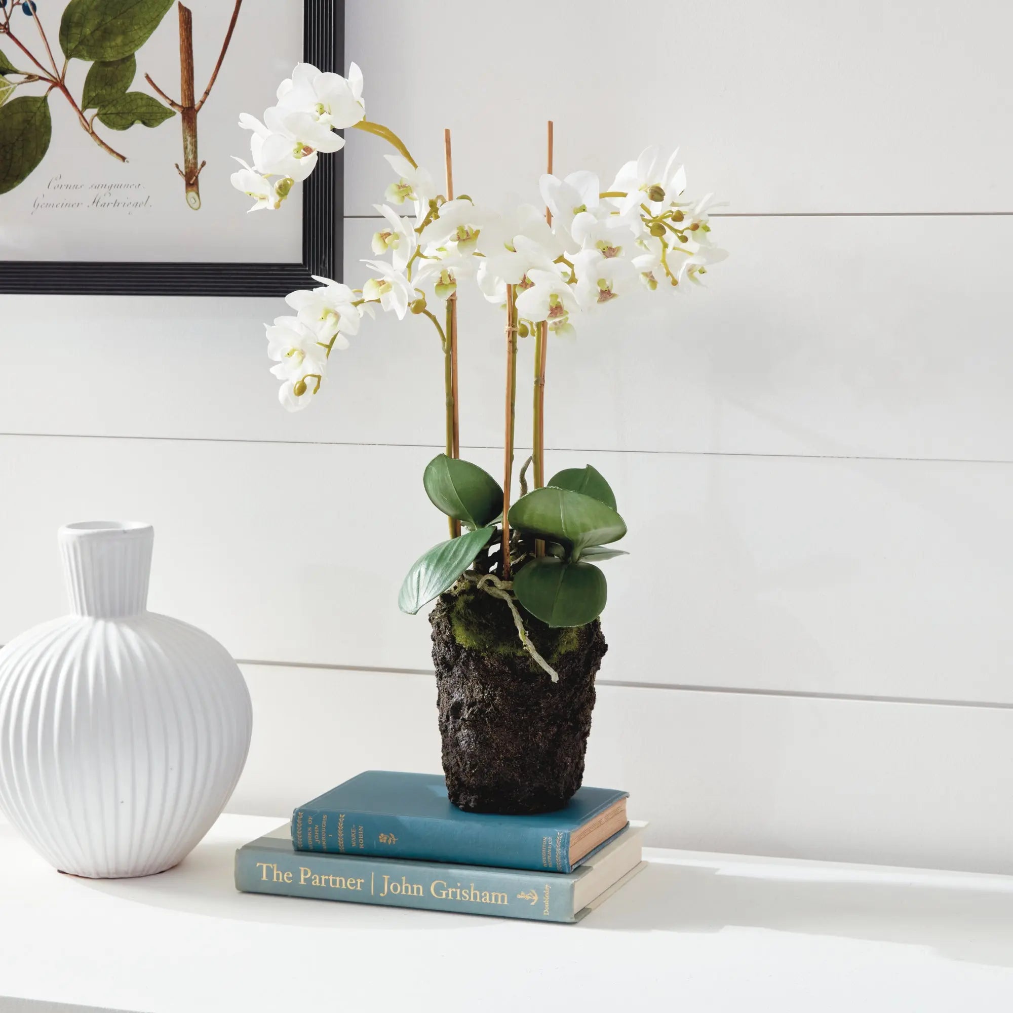 PHALAENOPSIS ORCHID DROP-IN 20" Villa Decor & Design