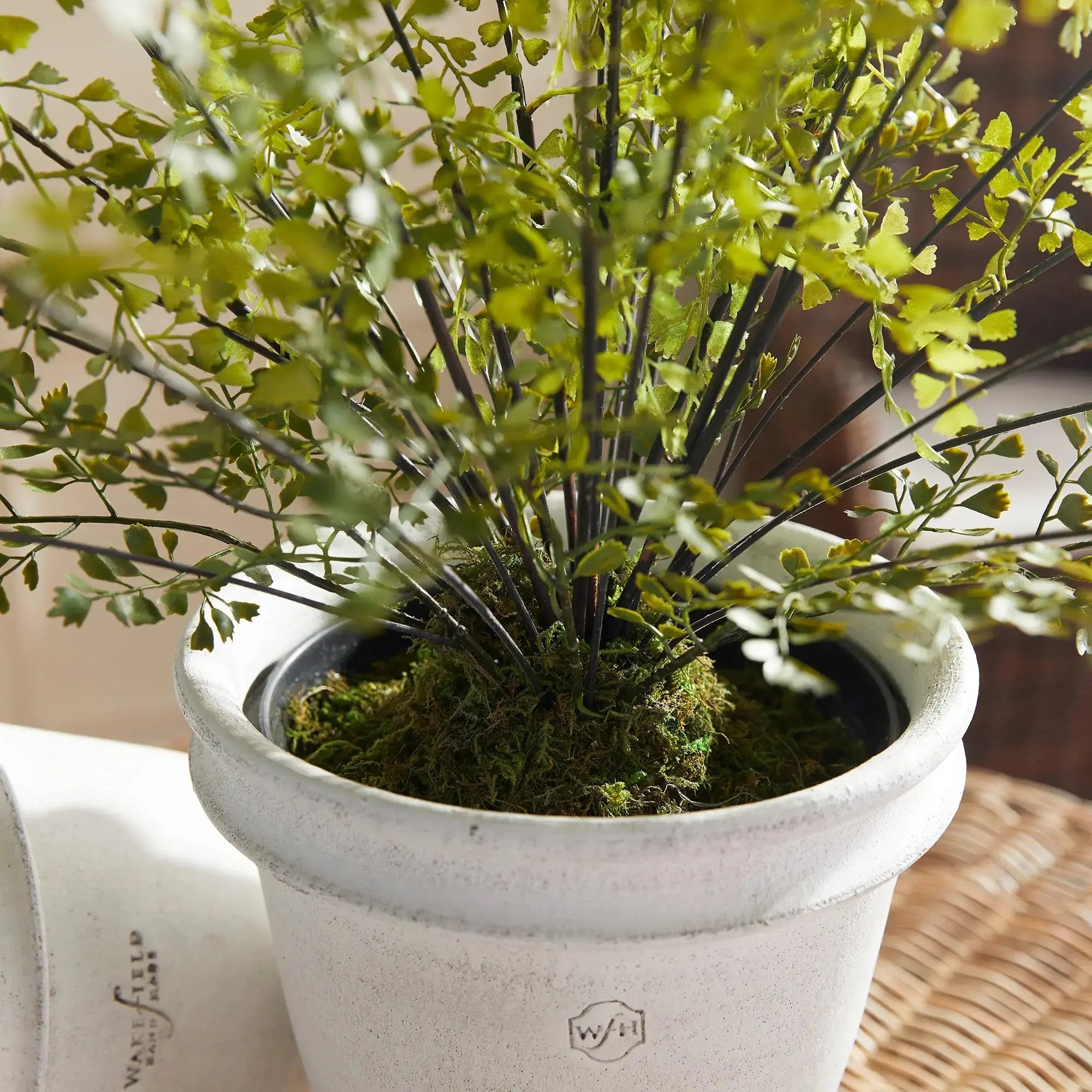 MAIDENHAIR DROP-IN 30" Villa Decor & Design