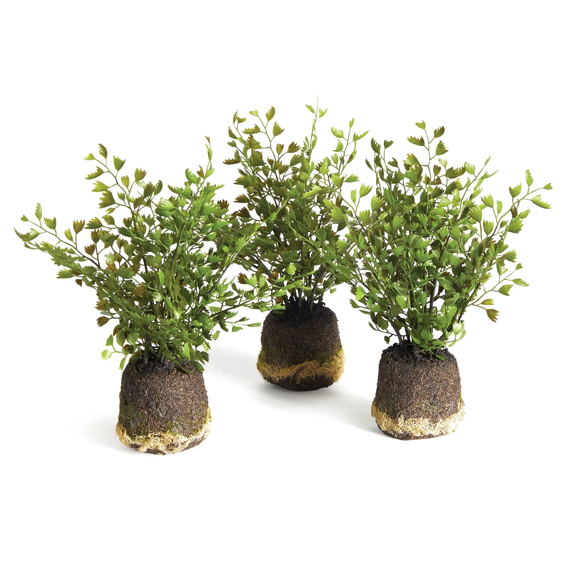 MAIDENHAIR DROP-INS, SET OF 3 Villa Decor & Design
