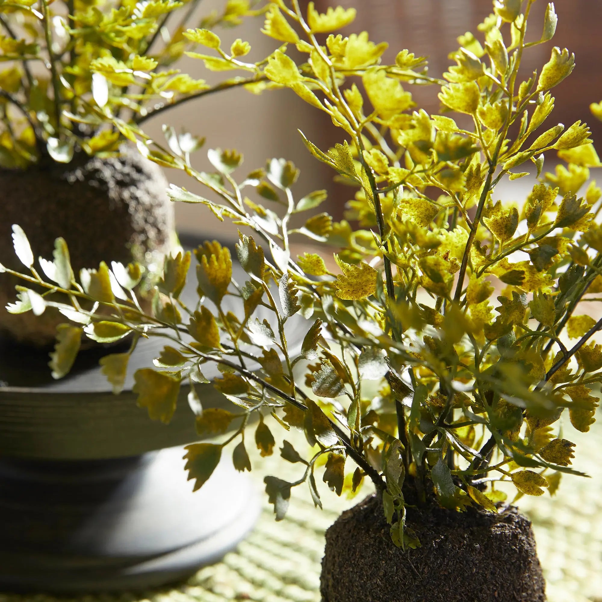 MAIDENHAIR DROP-INS, SET OF 3 Villa Decor & Design
