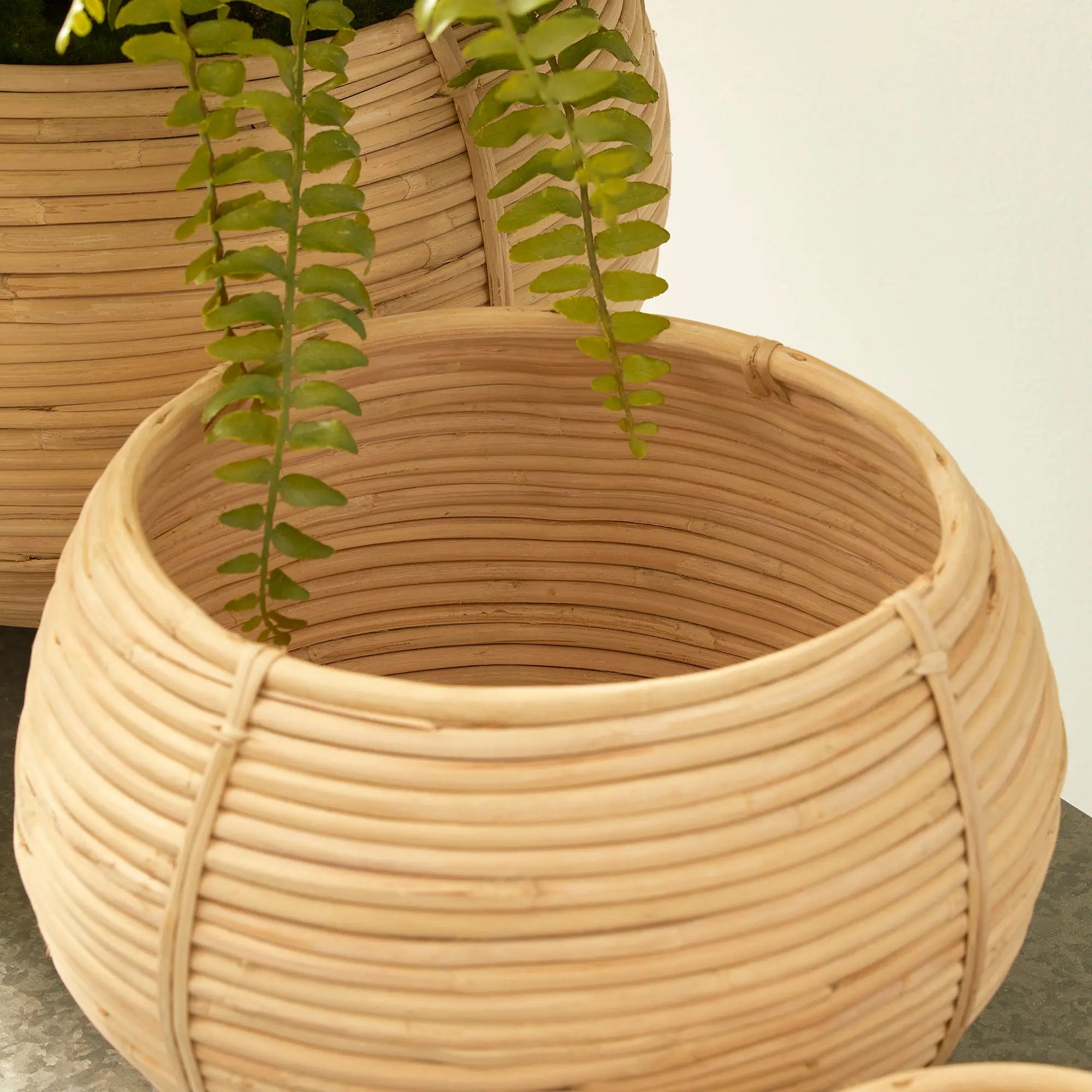CANE RATTAN PLANT BASKETS, SET OF 3 Villa Decor & Design