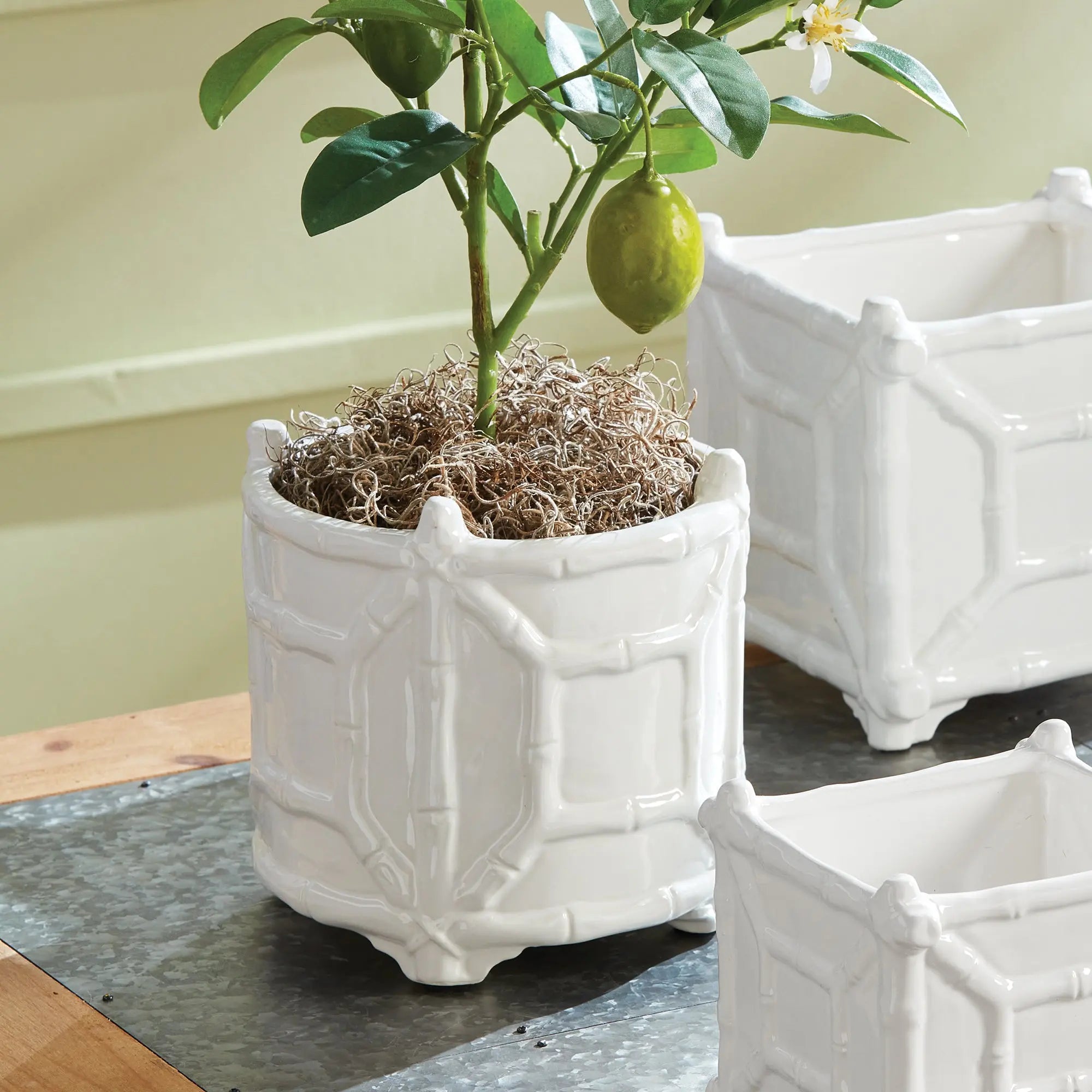 Chinoiserie Round Bamboo Cachepot - Classic White Ceramic Planter (Small or Large) - Villa Decor & Design