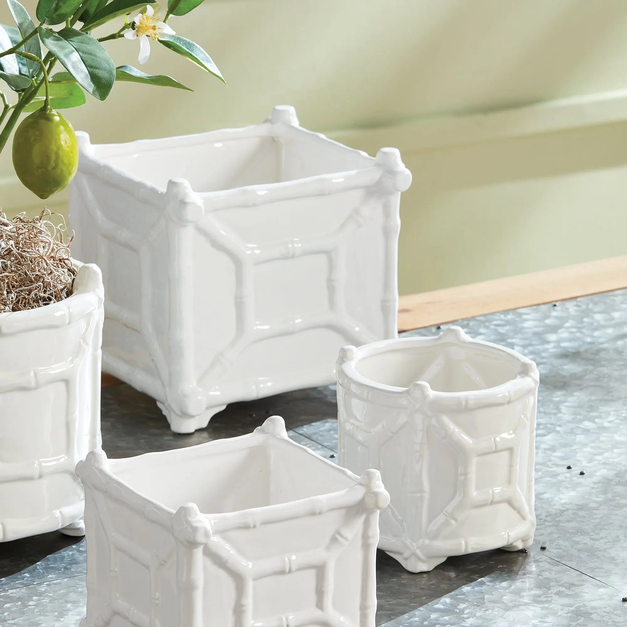 Chinoiserie Round Bamboo Cachepot - Classic White Ceramic Planter (Small or Large) - Villa Decor & Design