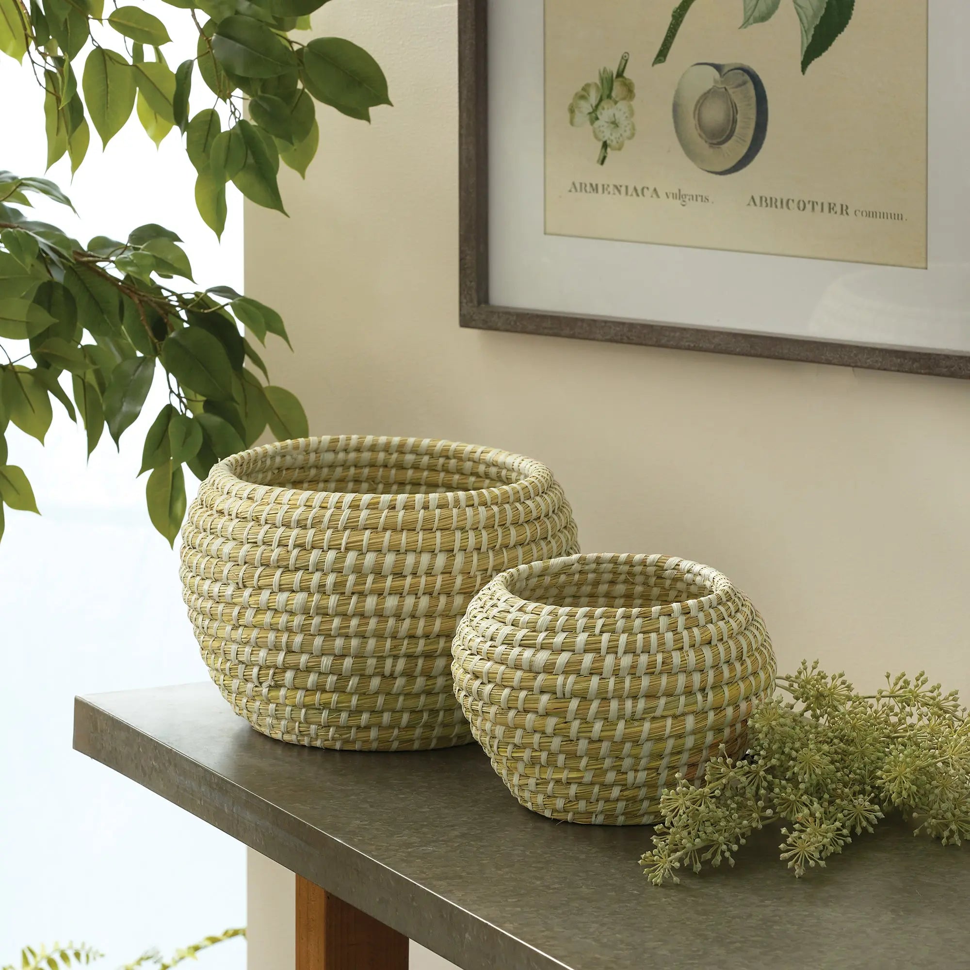 RIVERGRASS DECORATIVE FOOTED BOWLS, SET OF 2 Villa Decor & Design