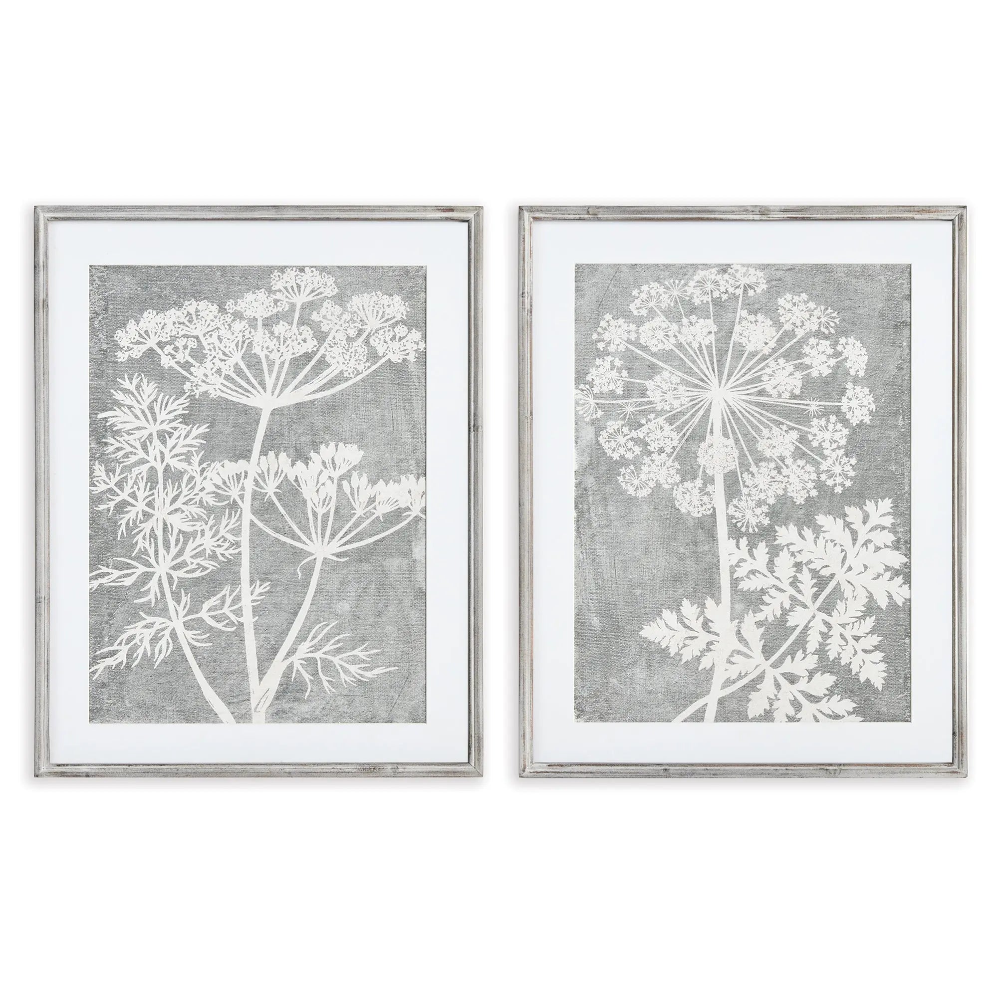 BLOOMING QUEEN ANNE'S LACE PRINTS, SET OF 2 Villa Decor & Design