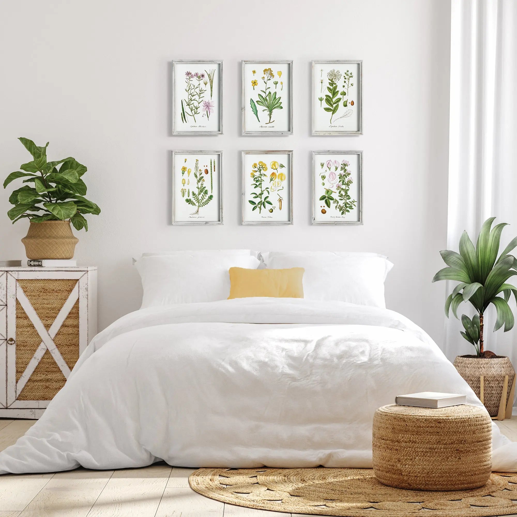 PERENNIAL BOTANICAL STUDY, SET OF 6 Villa Decor & Design