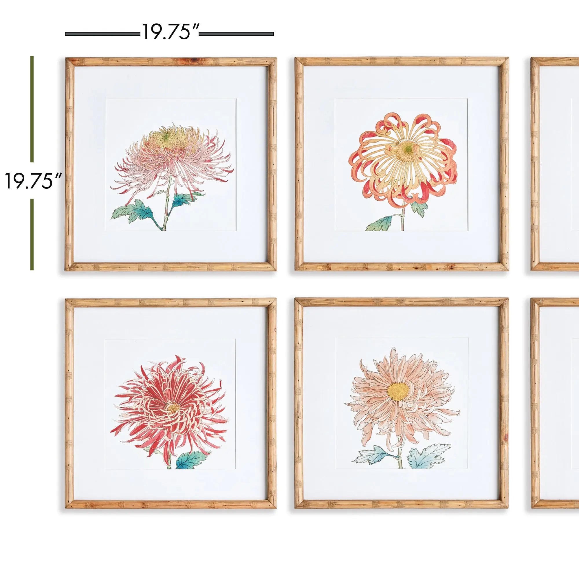 COLORFUL CHRYSANTHEMUM PRINTS, SET OF 6 Villa Decor & Design