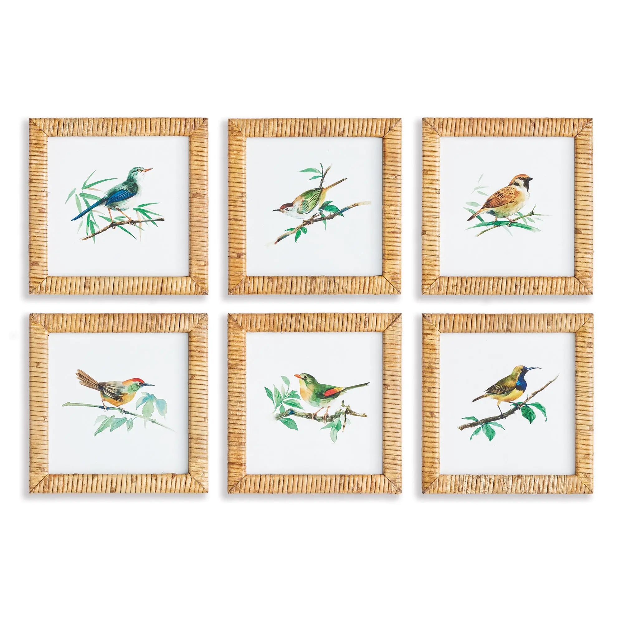 SONGBIRD PETITE PRINTS, SET OF 6 Napa Home & Garden